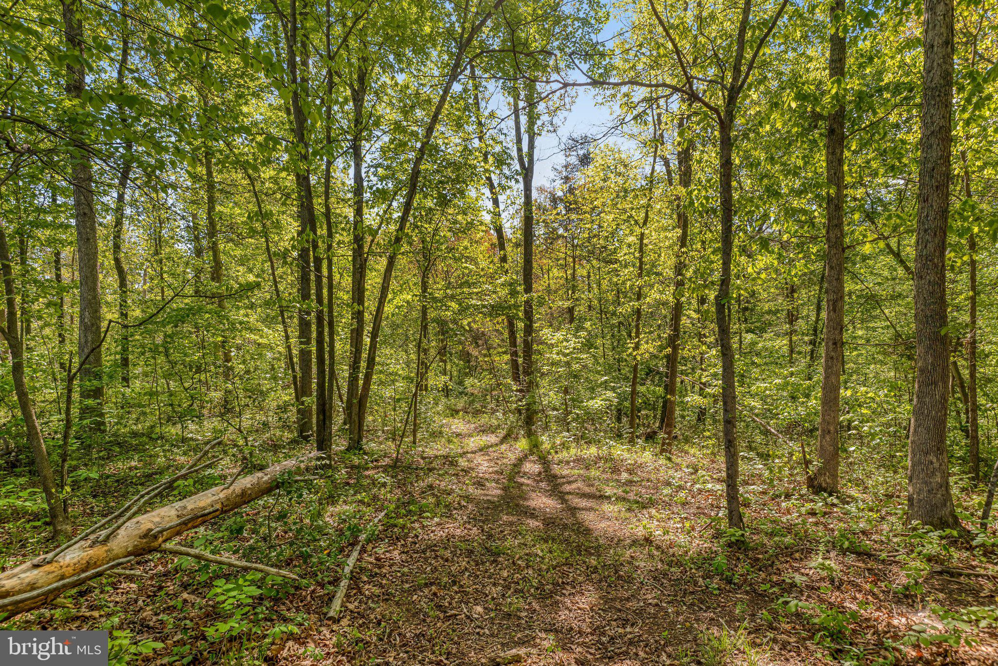 THE PINES AT KETTLE RUN - Residential