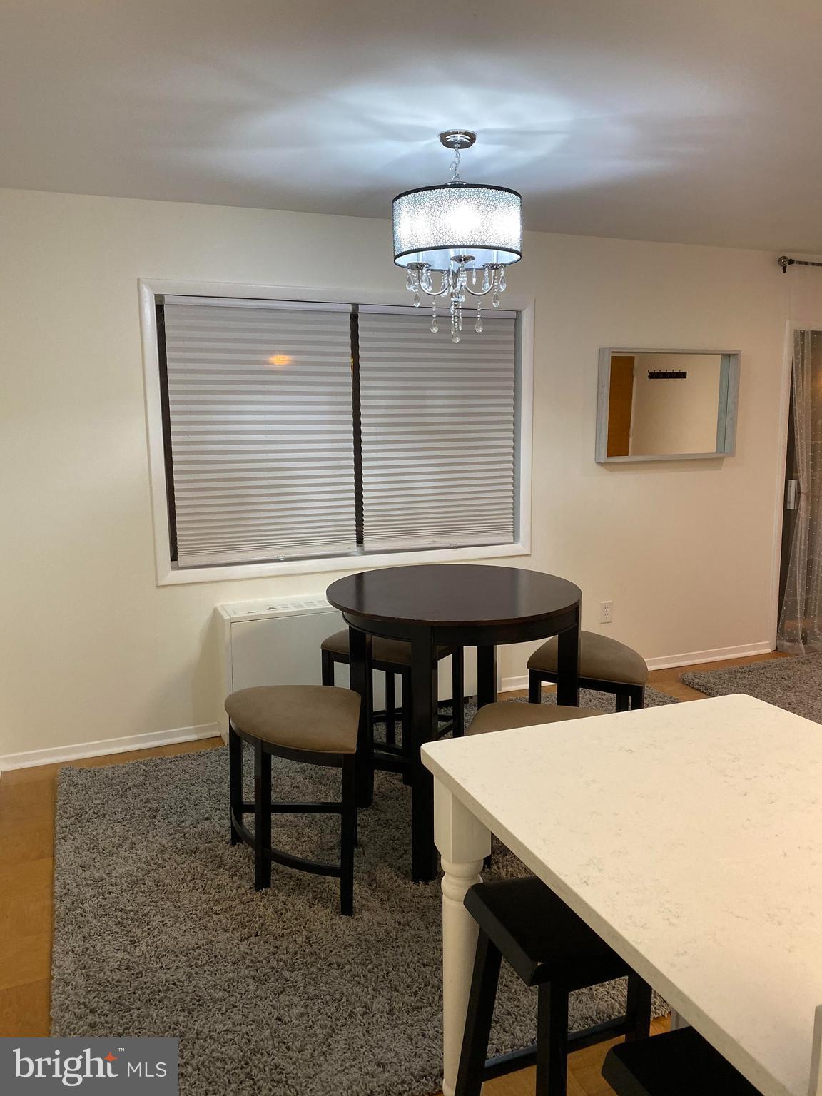 1509 S GEORGE MASON DRIVE 21