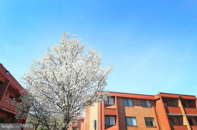 1509 S GEORGE MASON DRIVE 21