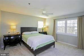 HARRIS HILL - Residential