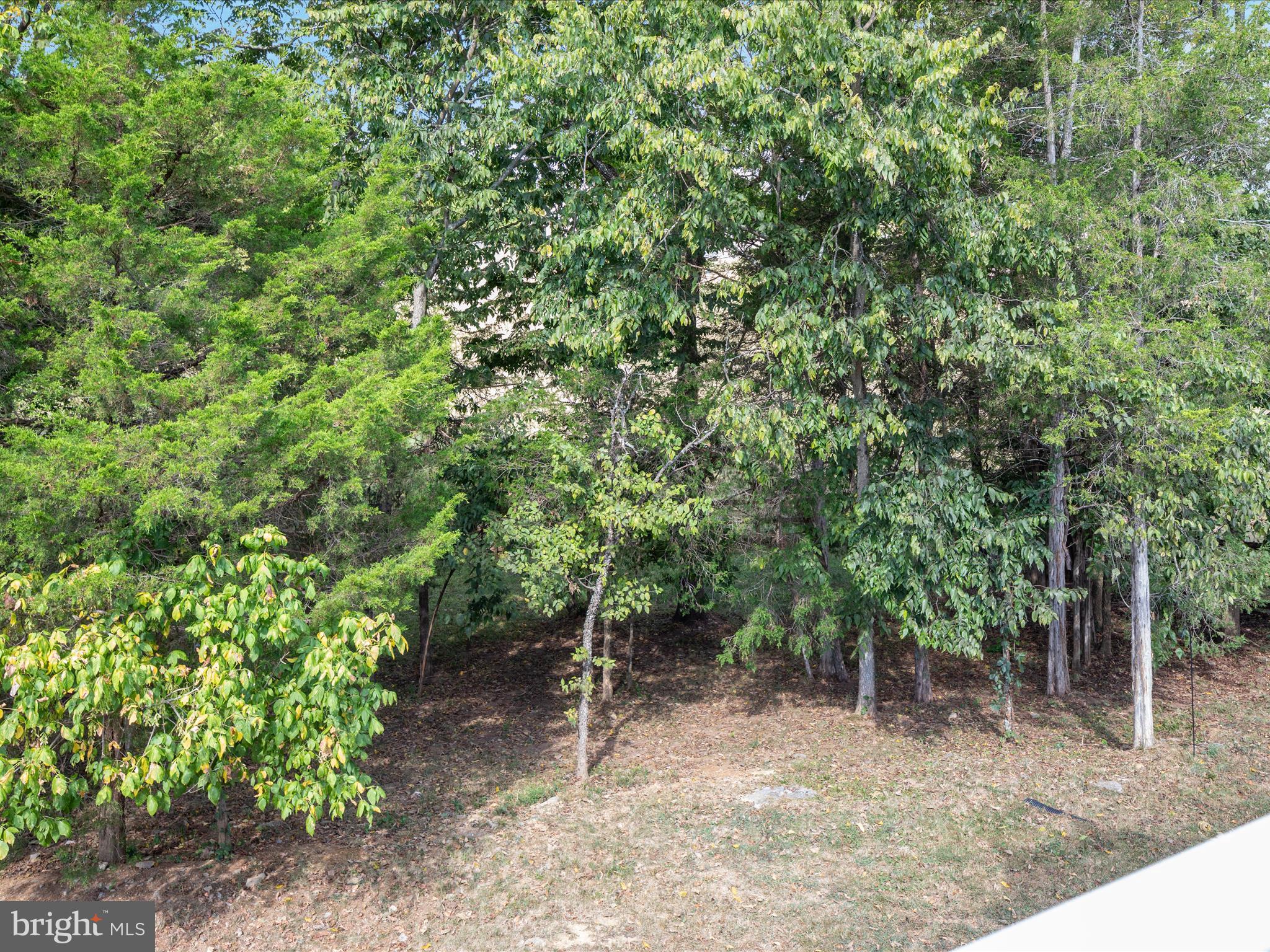 CHAPEL VIEW - Residential