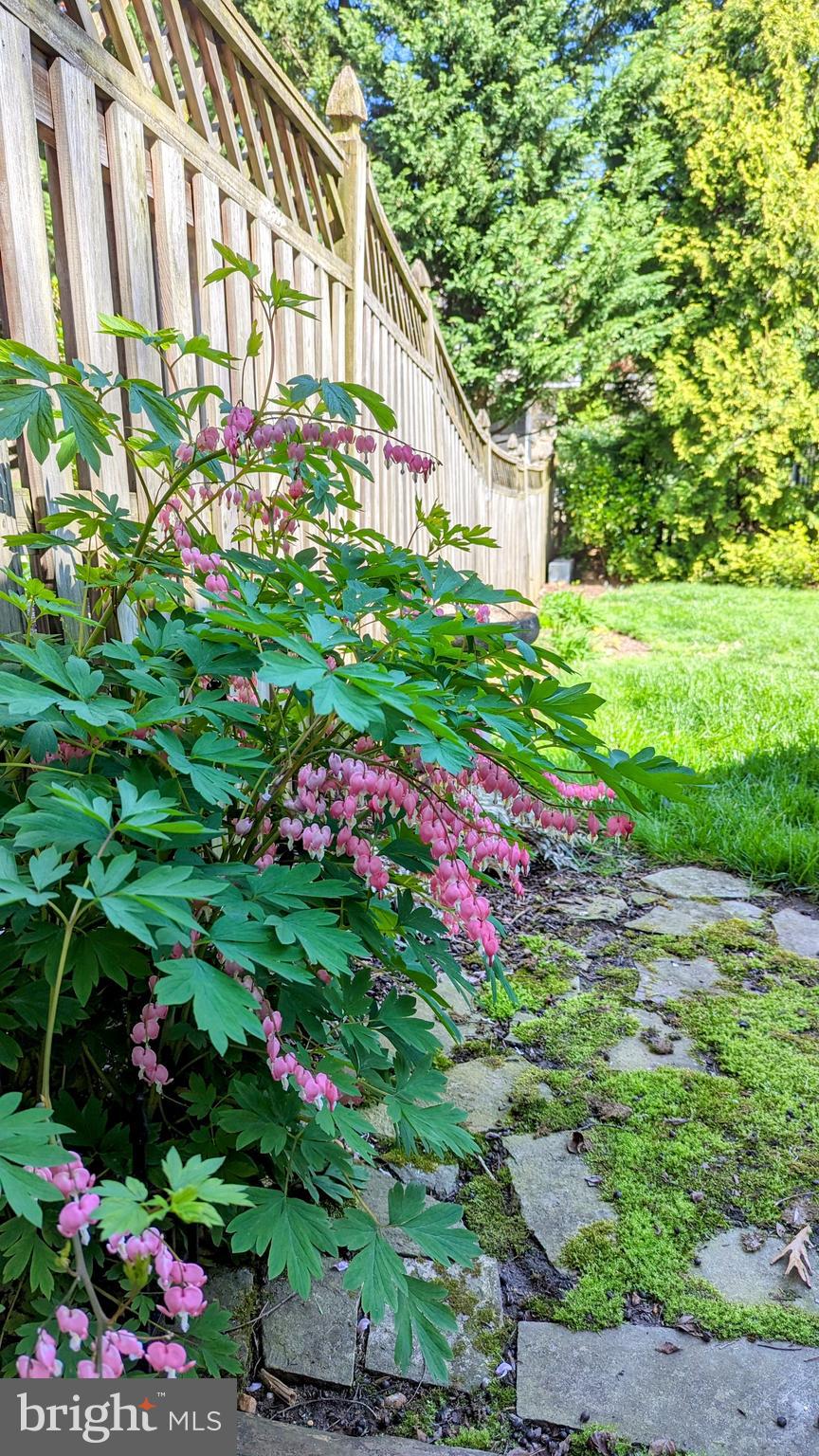 WILTONDALE - Residential