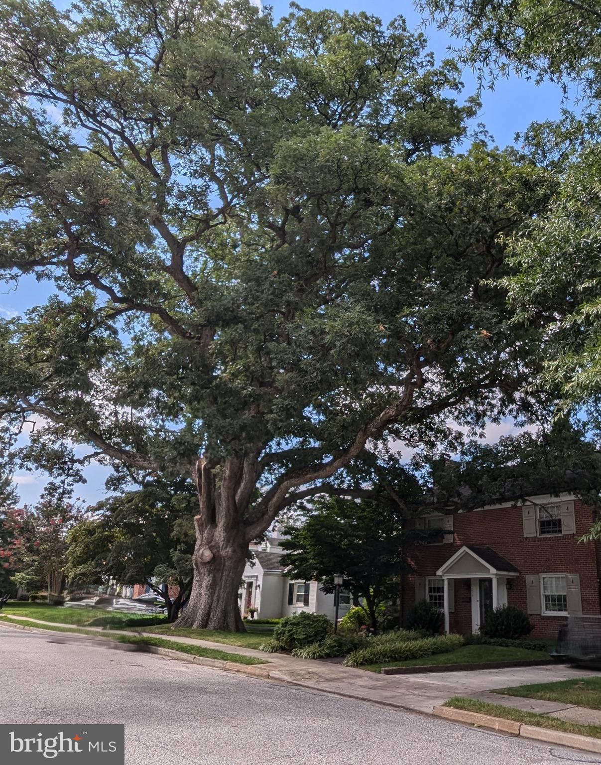 WILTONDALE - Residential