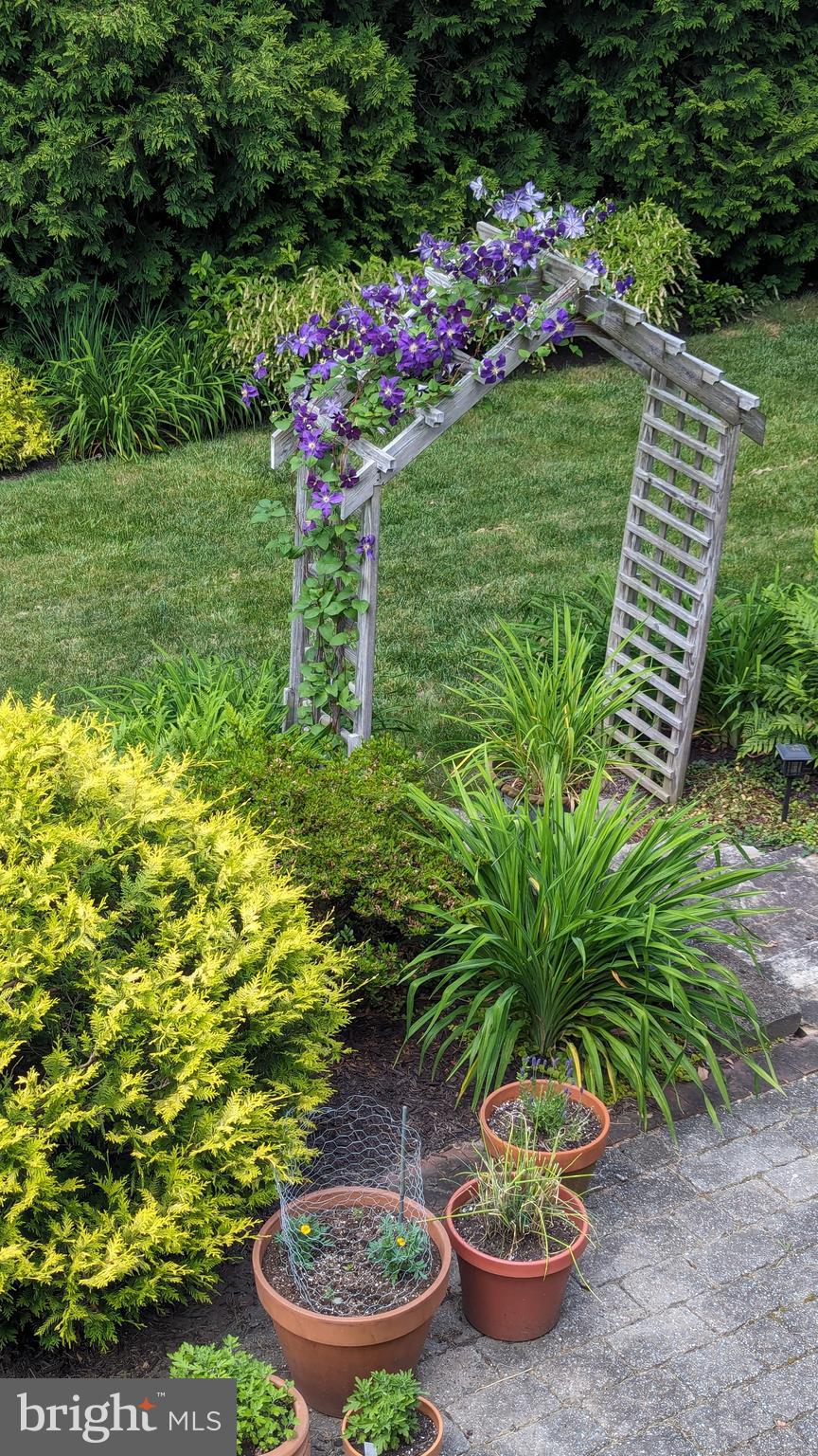 WILTONDALE - Residential