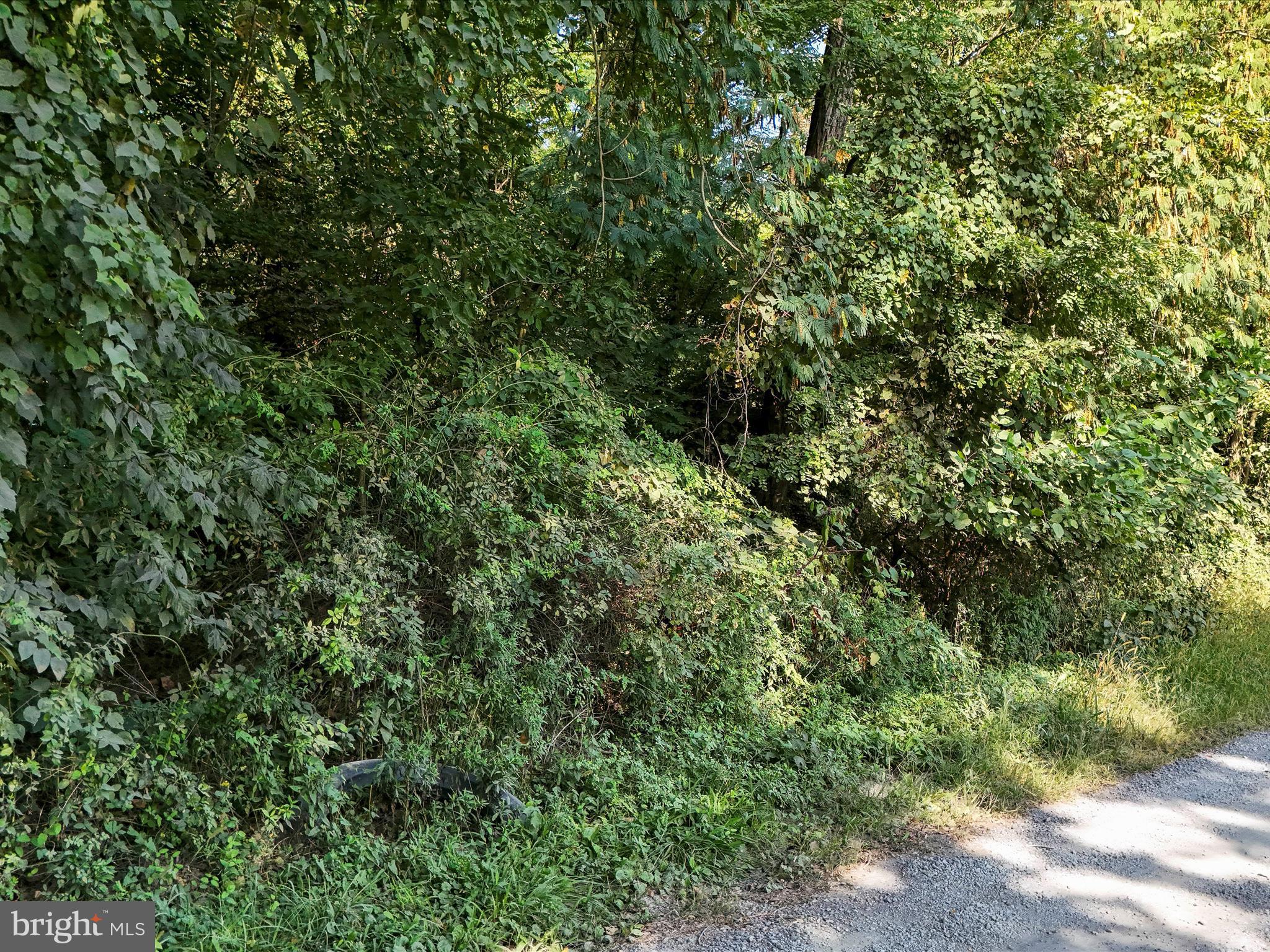 POTOMAC PARK ESTATES - Land