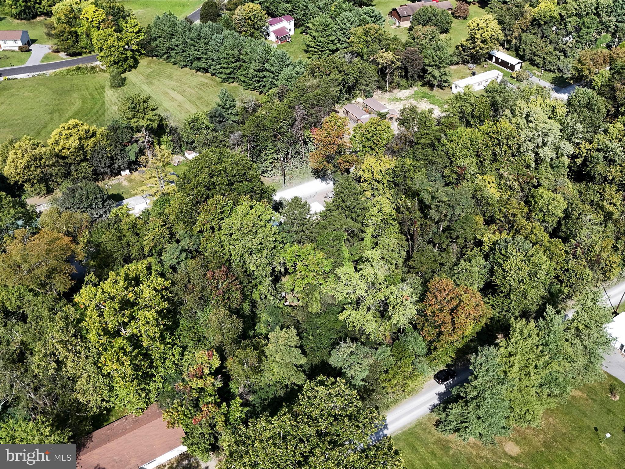 Opportunity to own a small piece of land for possible recreation use in the Potomac Park community! Community access to the Potomac River, ideal for fishing, kayaking, or simply enjoying nature's beauty. Access to the C&O Canal across the bridge on the MD side. No water/sewer hookup available.