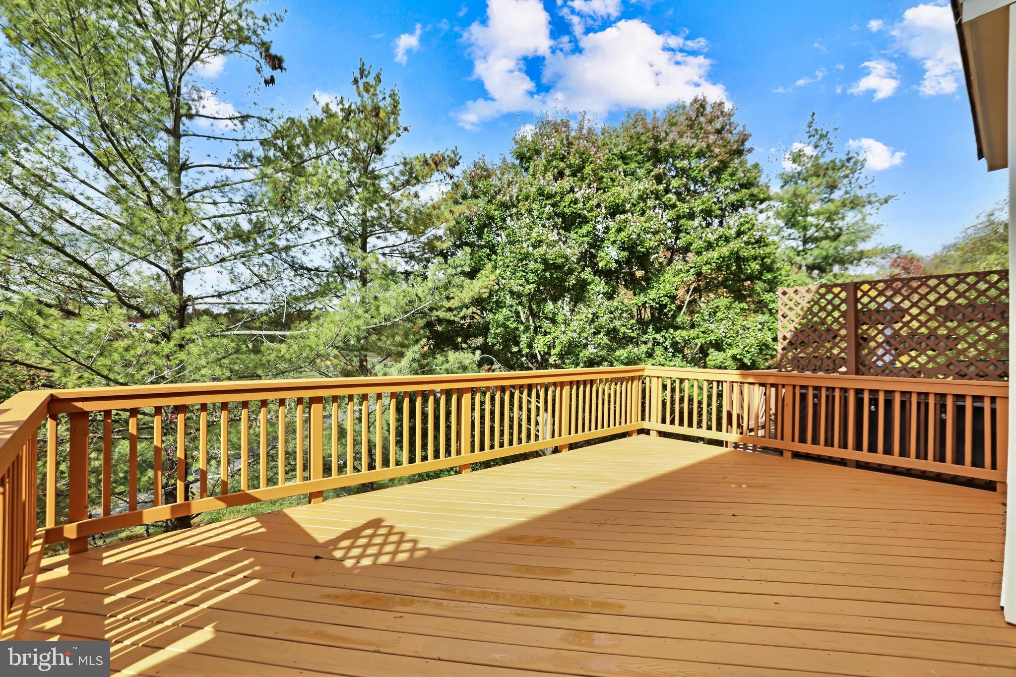 20903 IVYMOUNT TERRACE