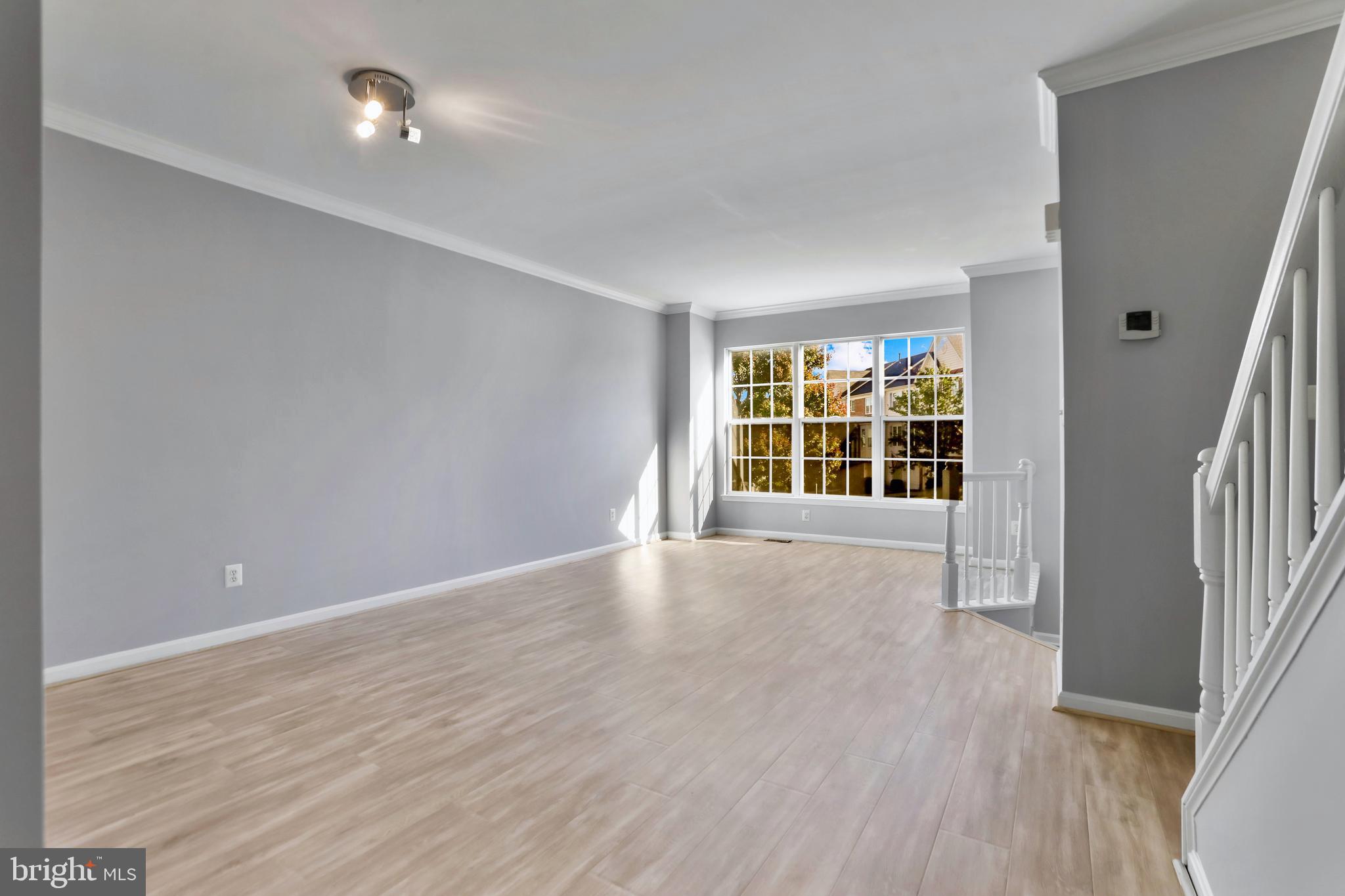 20903 IVYMOUNT TERRACE