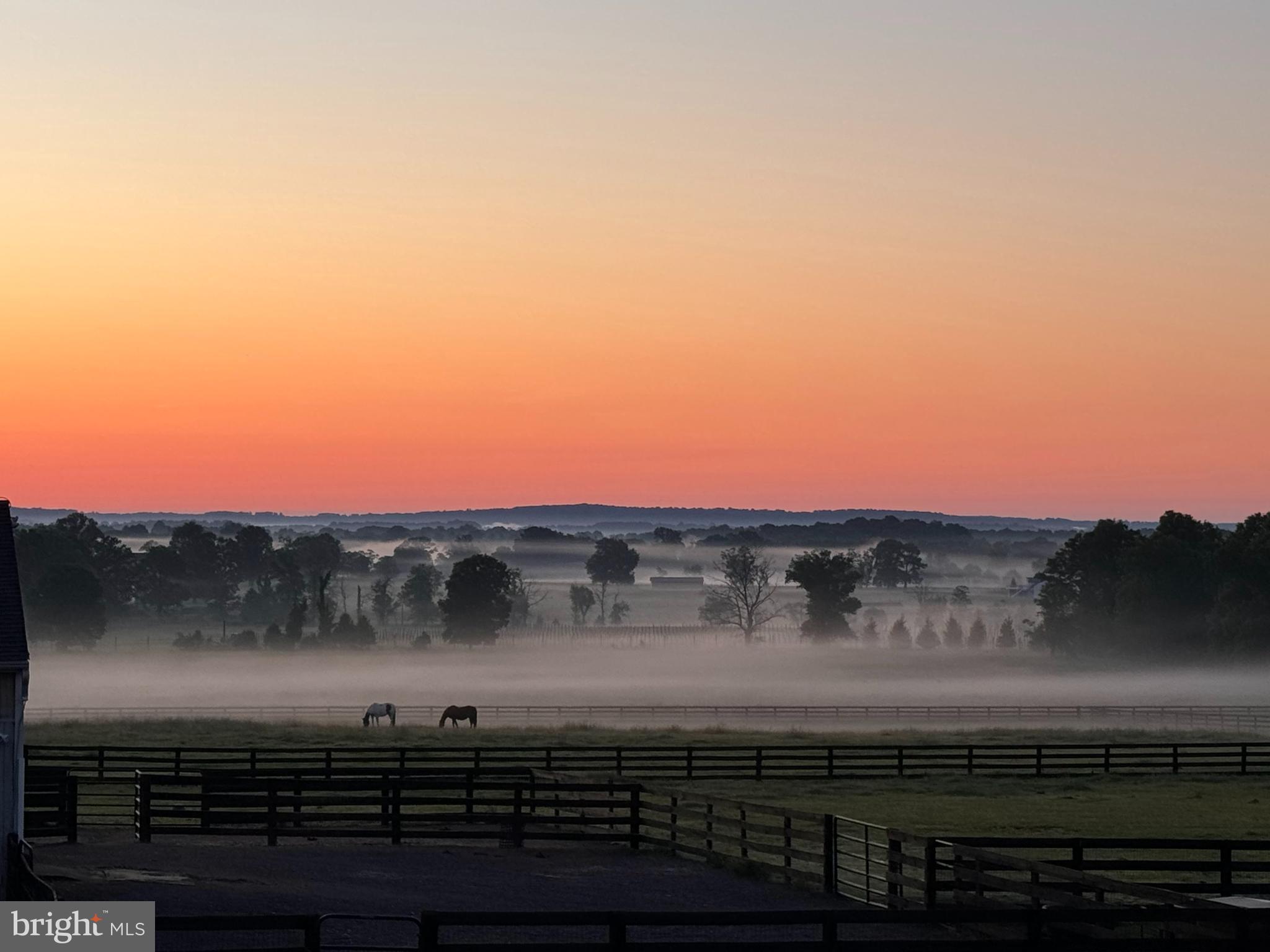 19798 FOGGY BOTTOM ROAD