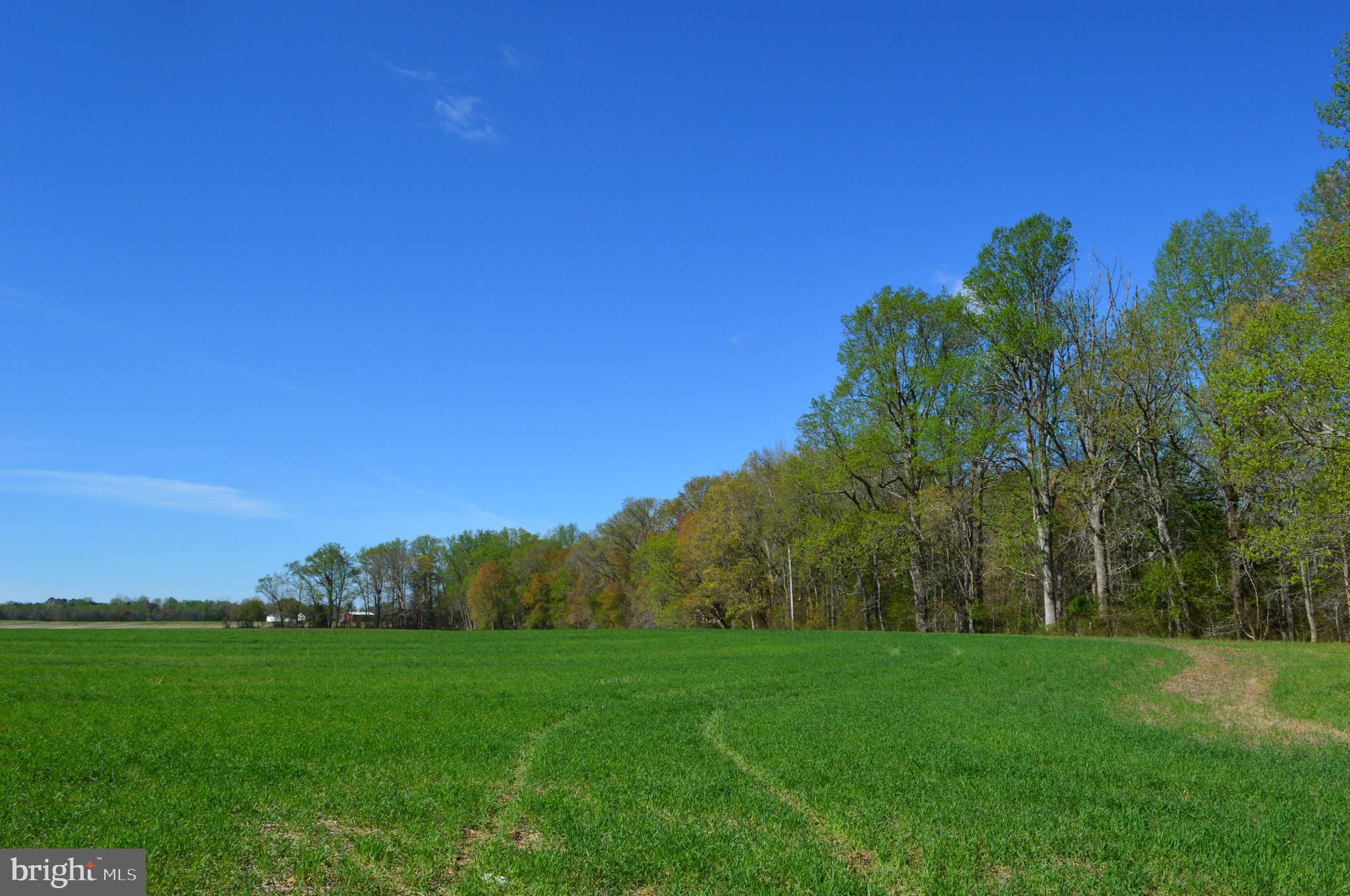TRAPPE - Residential