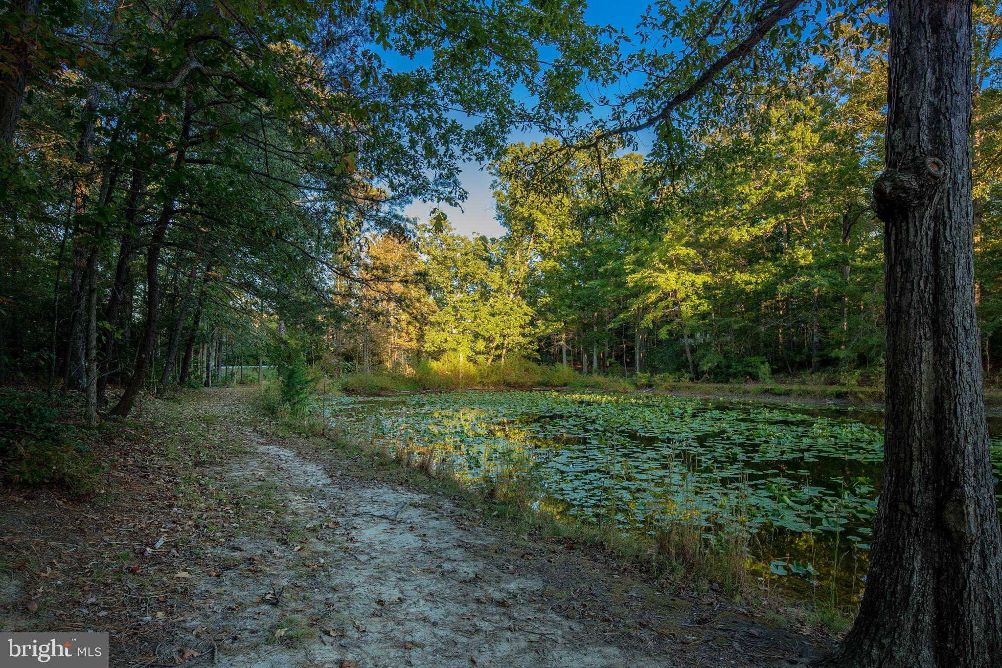 WILDEWOOD - Residential