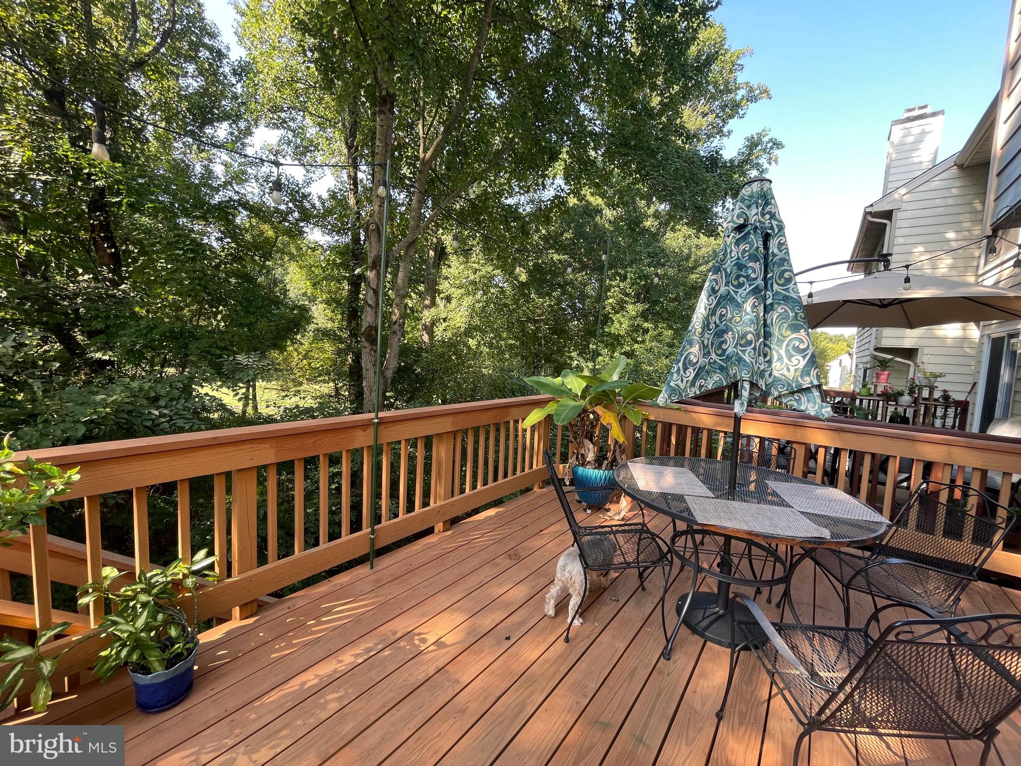 VILLAGE OF DORSEY SEARCH - Residential