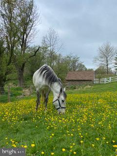 PICKERING HILL - Residential