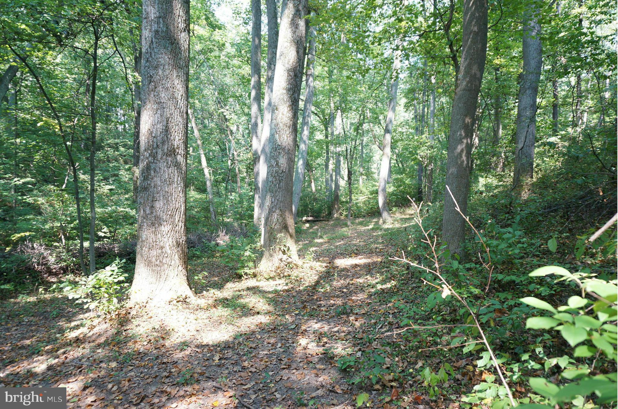 BOONSBORO - Residential