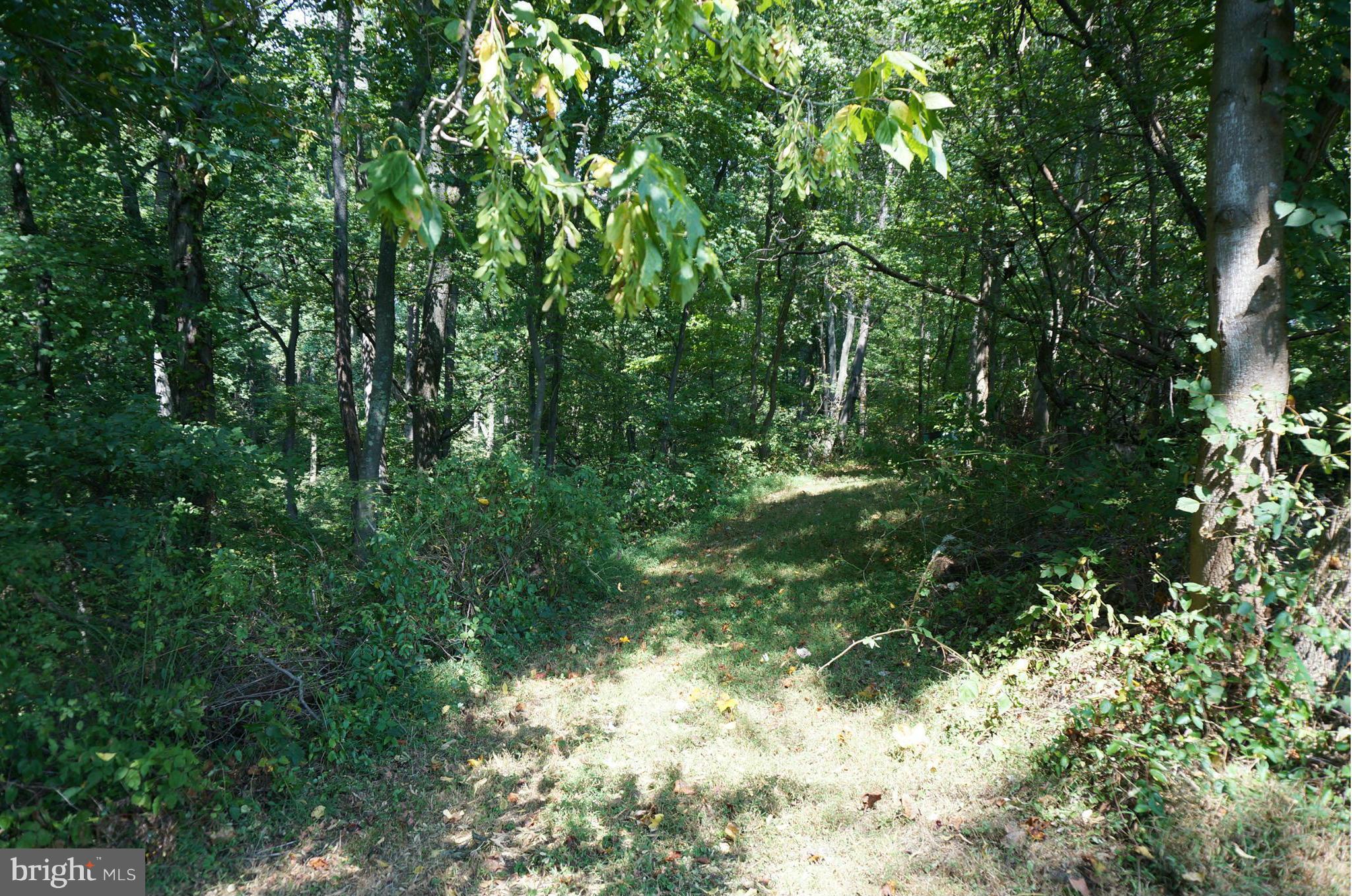 BOONSBORO - Residential