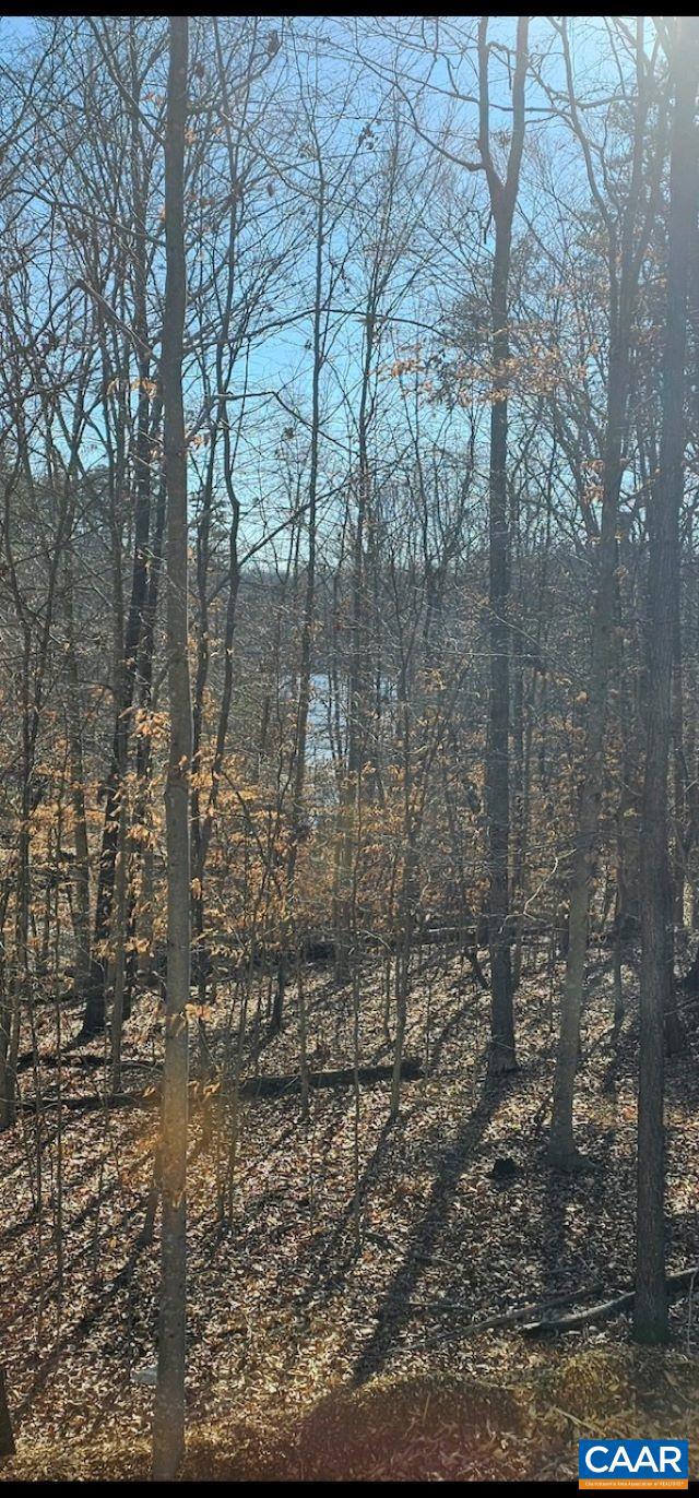 REEDY CREEK - Residential