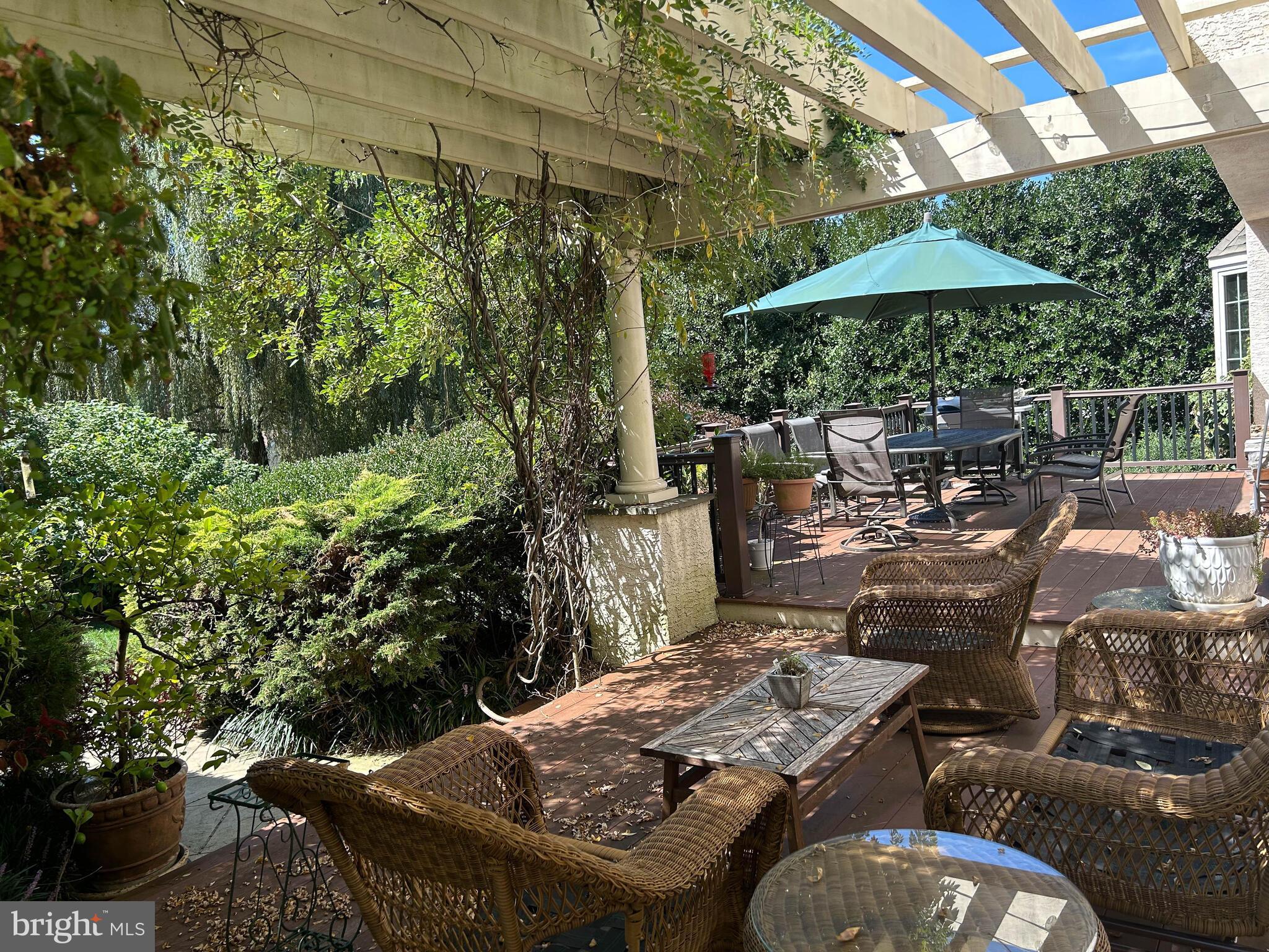 BOW TREE - Residential