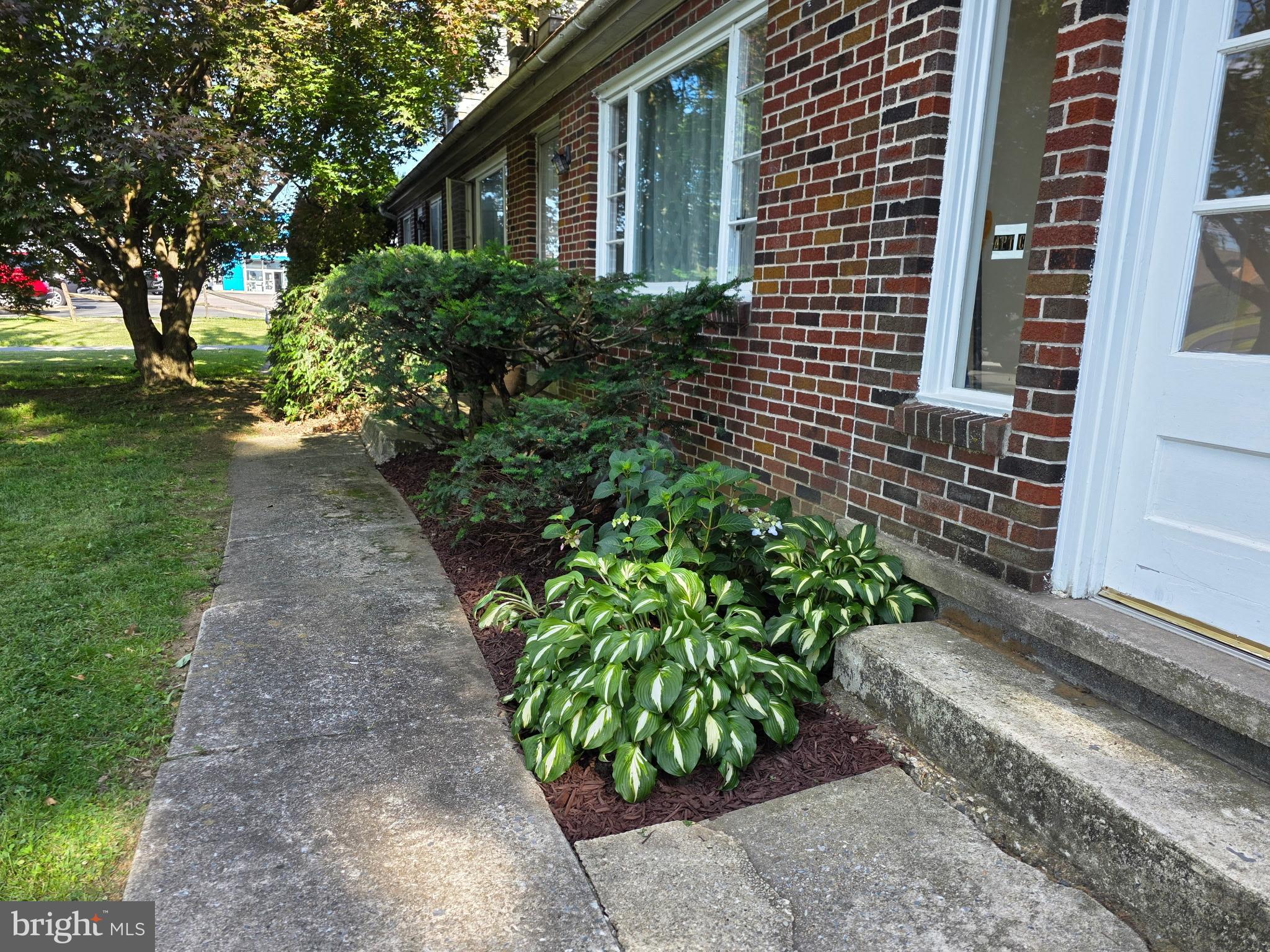 3808 MAIN STREET