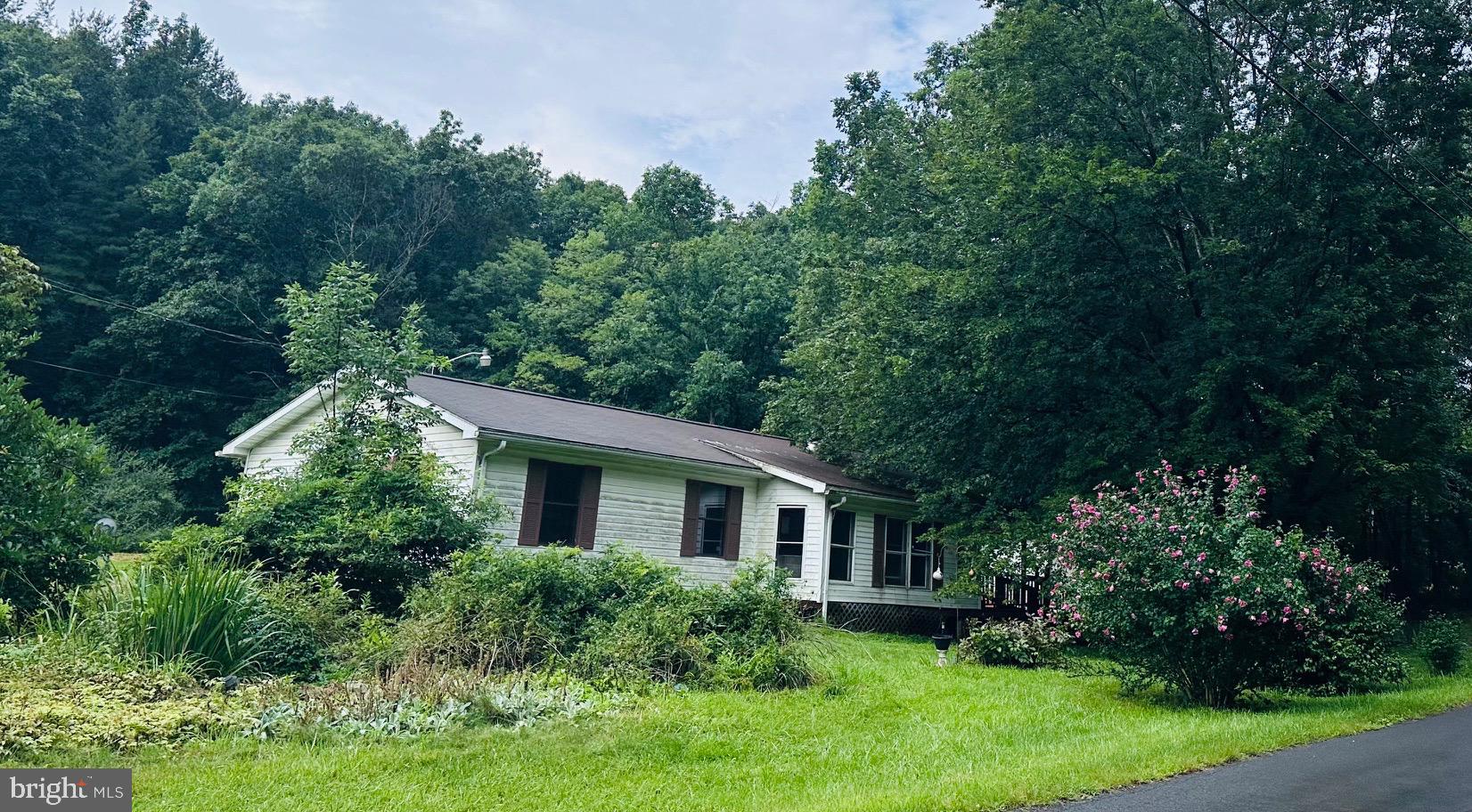 847 MONGOLD ROAD