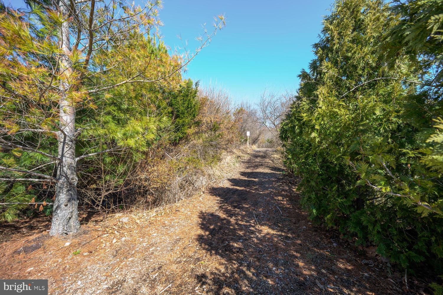 ELLENDALE - Residential