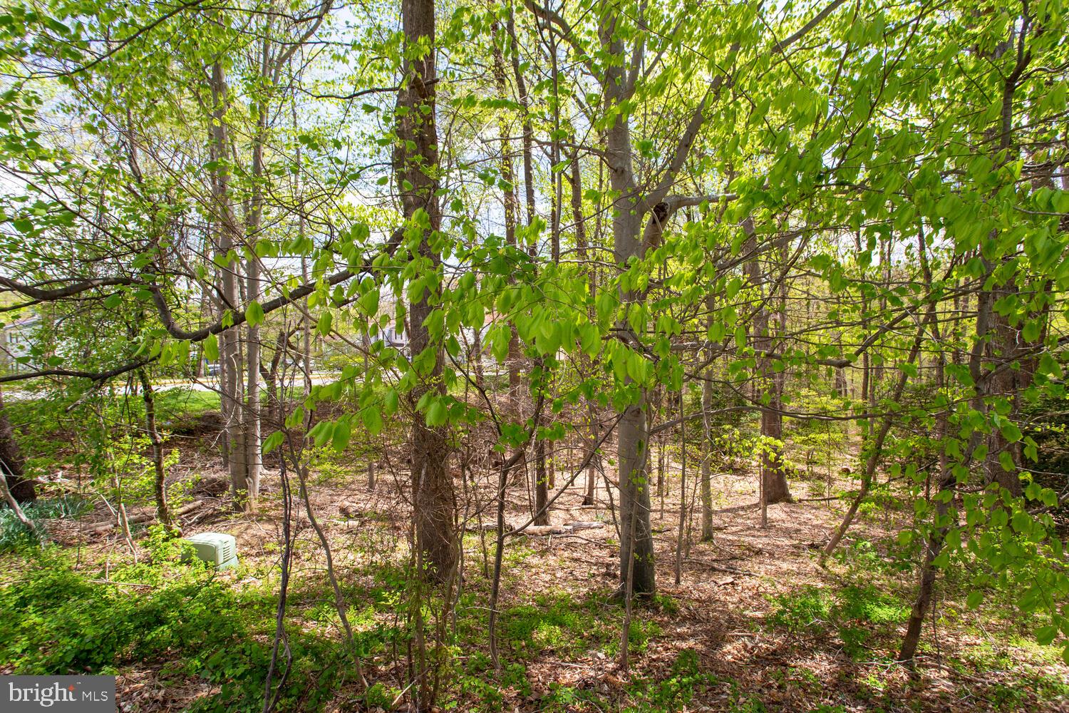 NEWINGTON FOREST - Residential