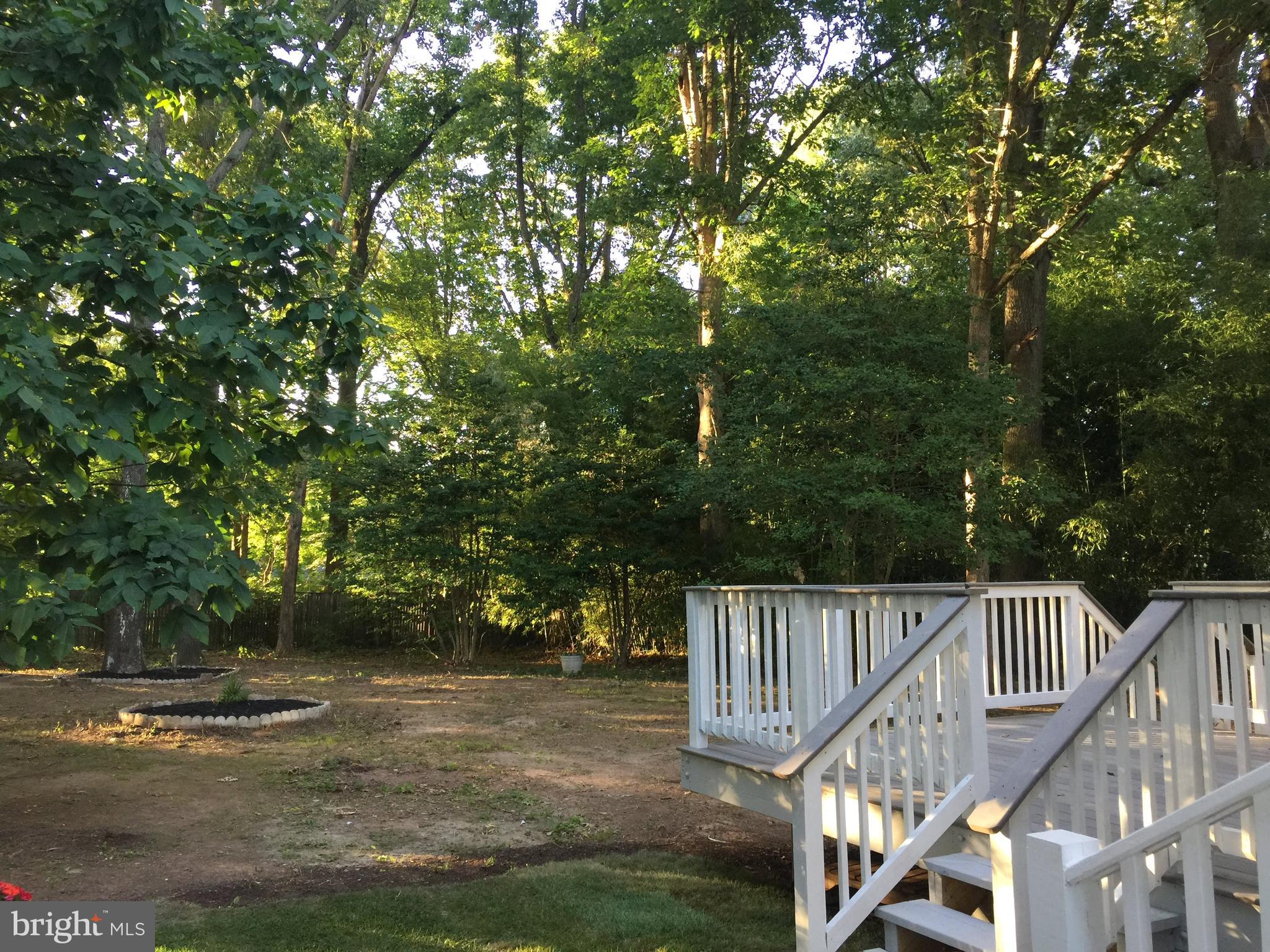 HOLMES RUN HEIGHTS - Residential