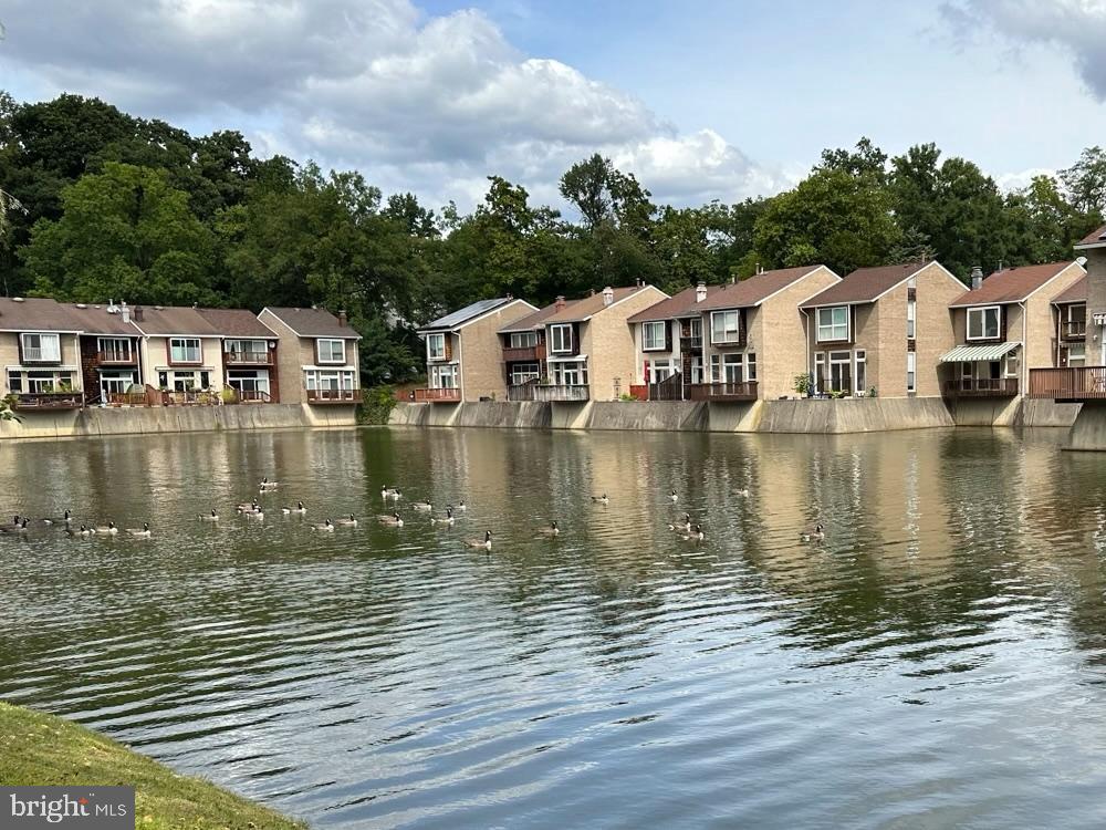 NEW MARK COMMONS - Residential