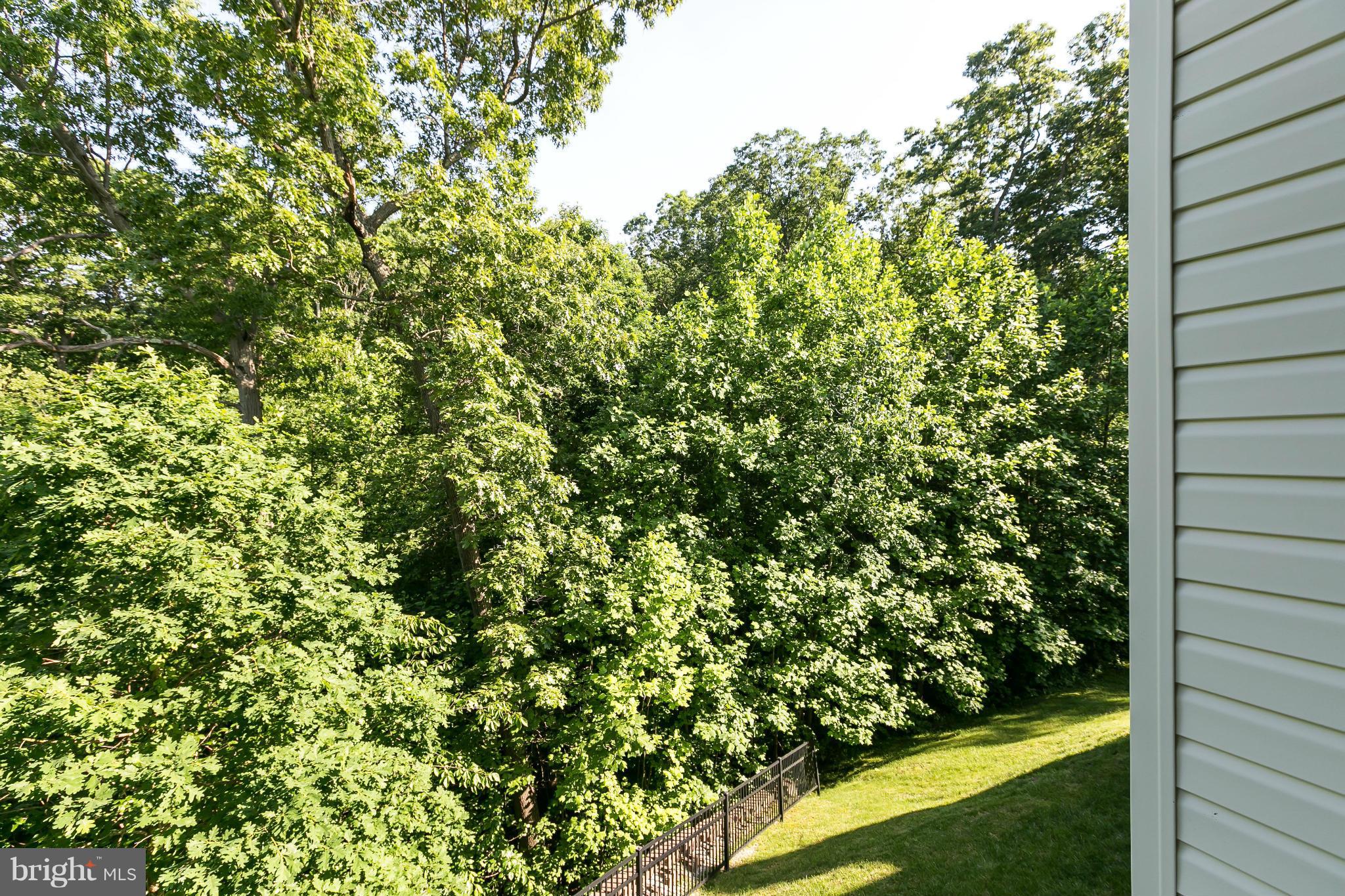 SILVER LAKE - Residential