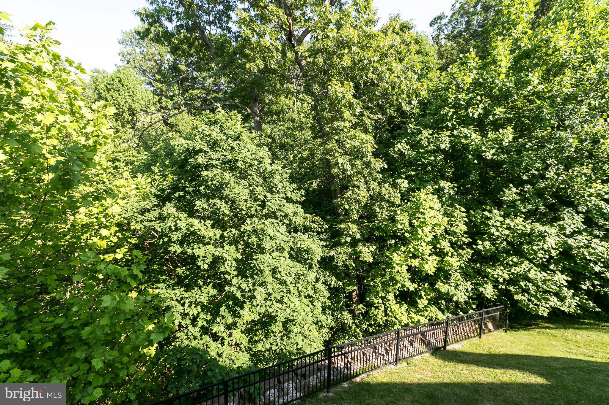 SILVER LAKE - Residential