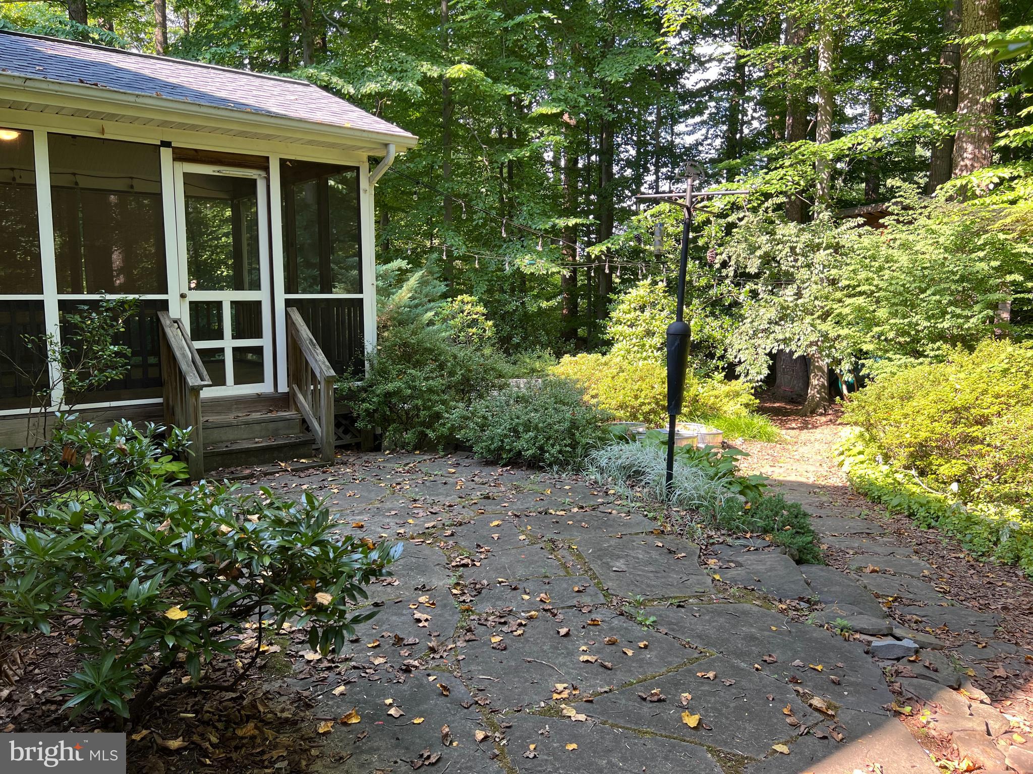 RED FOX FOREST - Residential Lease