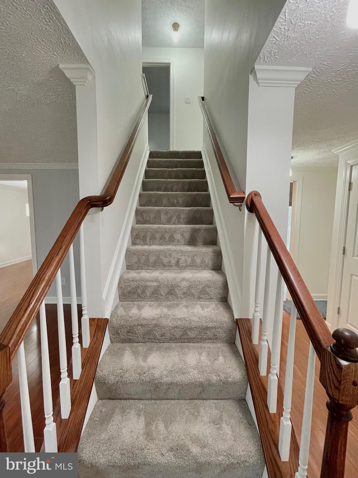 NEWPORT - Residential