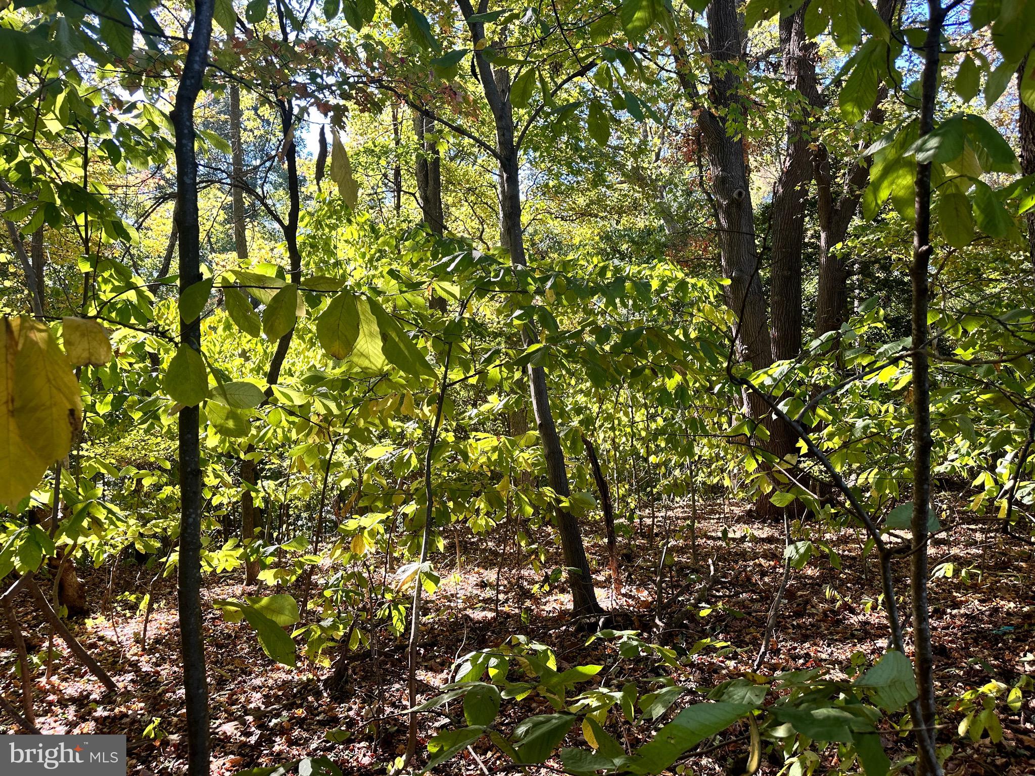 KINGS GRANT BLUFFS - Land