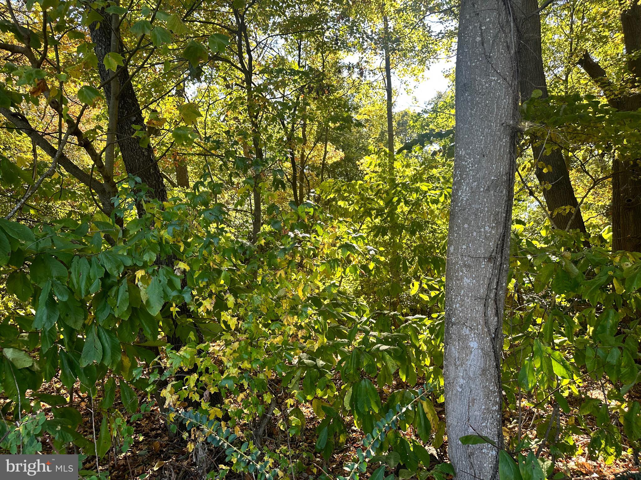 KINGS GRANT BLUFFS - Land