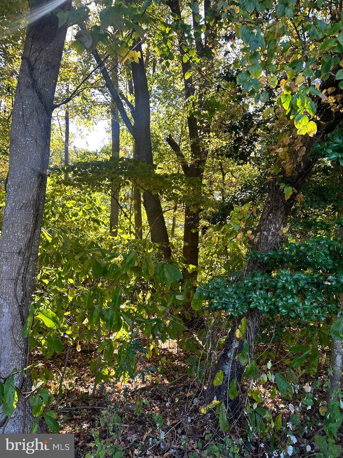 KINGS GRANT BLUFFS - Land