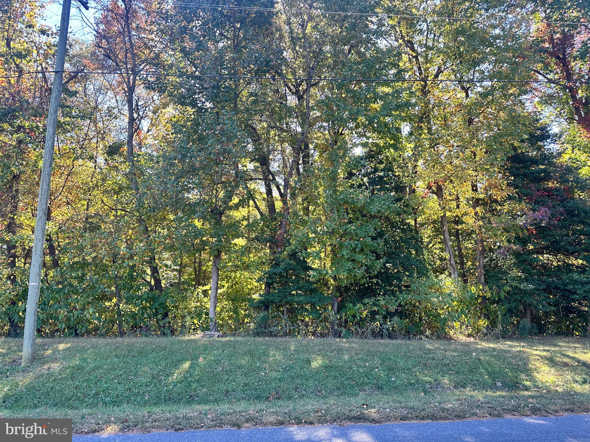 This lot is a tranquil retreat for a vacation or permanent home. Located in Stratford Harbour in historic Montross, Va, the birth place of George Washington and Robert E. Lee, on Lake Independence there is boat access - Powered, Canoe/Kayak, Fishing, Personal Watercraft (PWC) and swimming. There is a community clubhouse, pool, common areas which includes Sharks Tooth Beach on the Potomac River for beach combing, picnicking. Lake Independence for swimming, boating (no gas powered boats), fishing (license required). Boat Dock Facility at Currioman Bay. Slips are available for annual rental. Tennis Courts are open year-round. Playground and Picnic Pavilion are located near Clubhouse. Security Guards tour the area to protect the commons and Clubhouse. There is a well-kept and well established road system in place that provide access to the property. This lot is located directly across from the Stratford Harbour Clubhouse. It is a wonderful community, please call for additional information. There is a county septic certification for 4 Bed/2.5 bath home.
READ LESS
