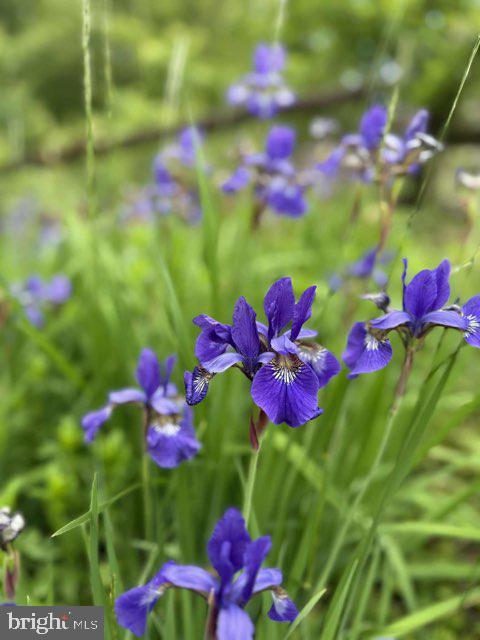 GRANDSTAFF NORTH - Residential