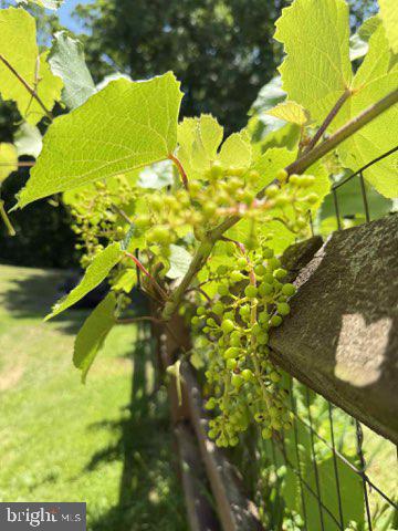 GRANDSTAFF NORTH - Residential