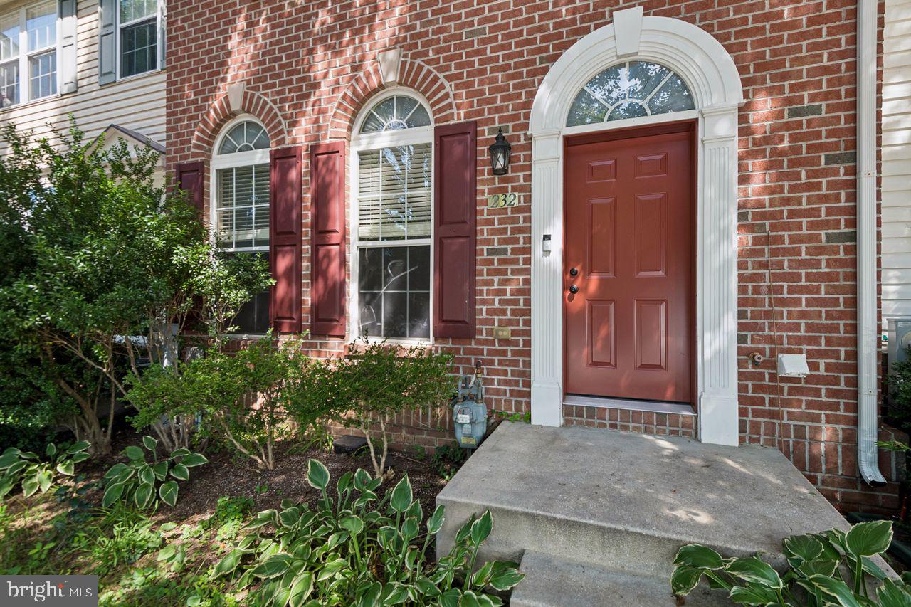 232 MARY JANE LANE