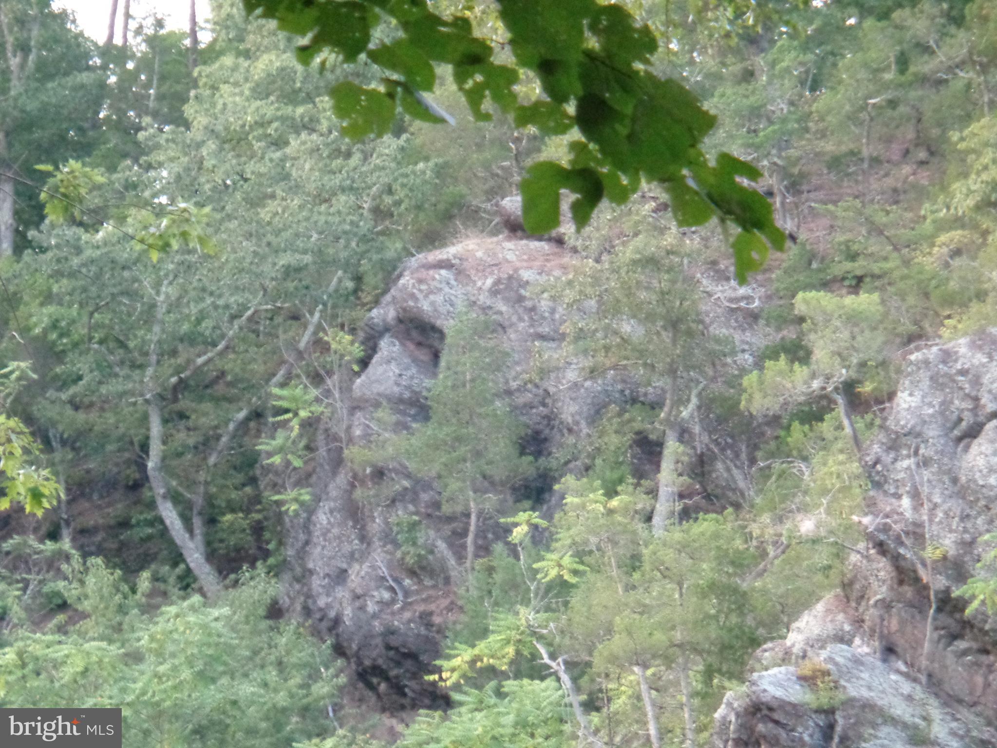 CACAPON RIVER RAPIDS - Residential