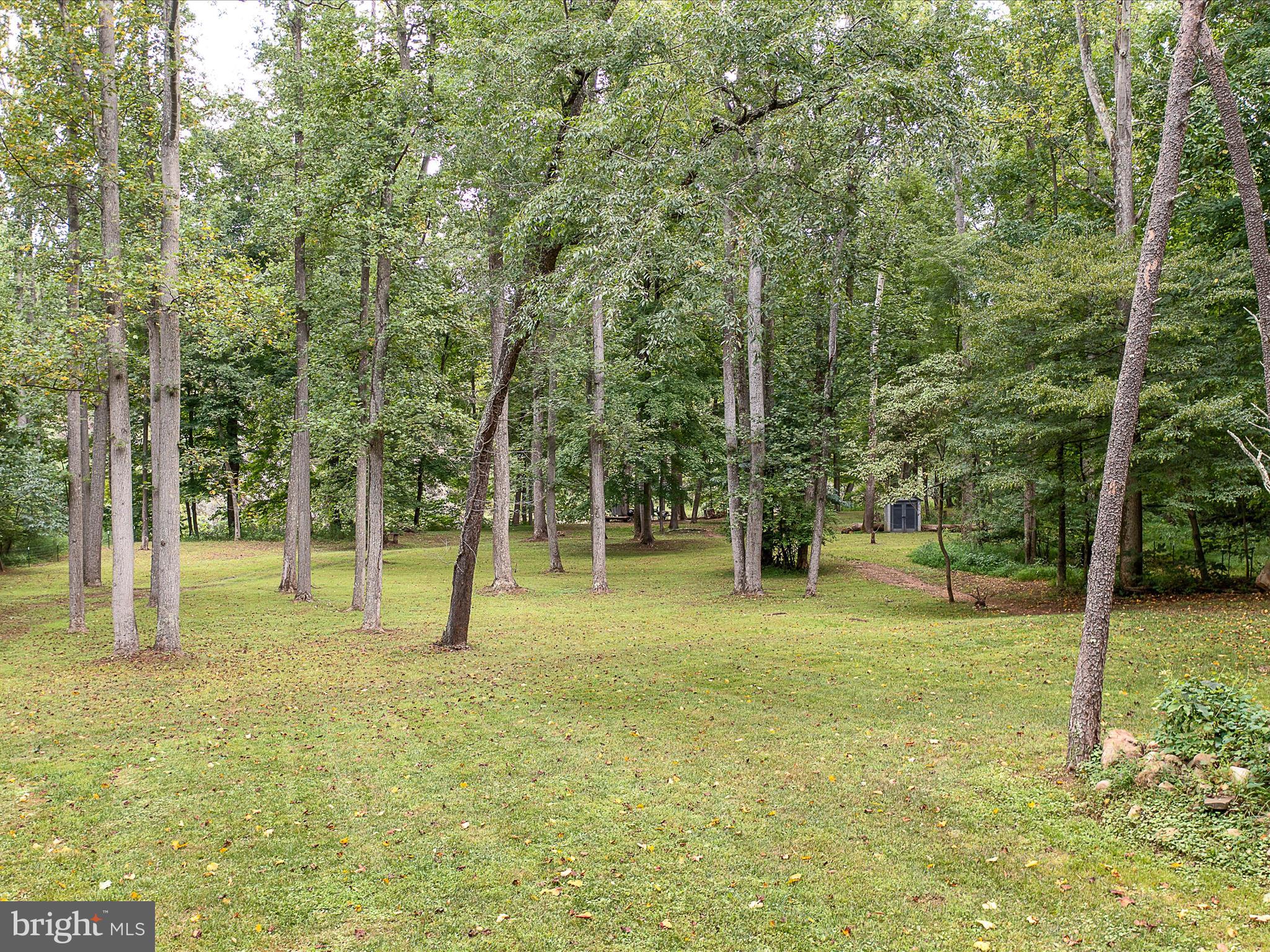 CACAPON RIVER RAPIDS - Residential