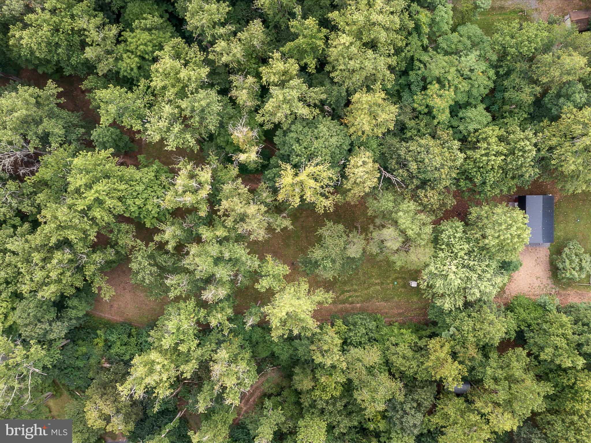 CACAPON RIVER RAPIDS - Residential