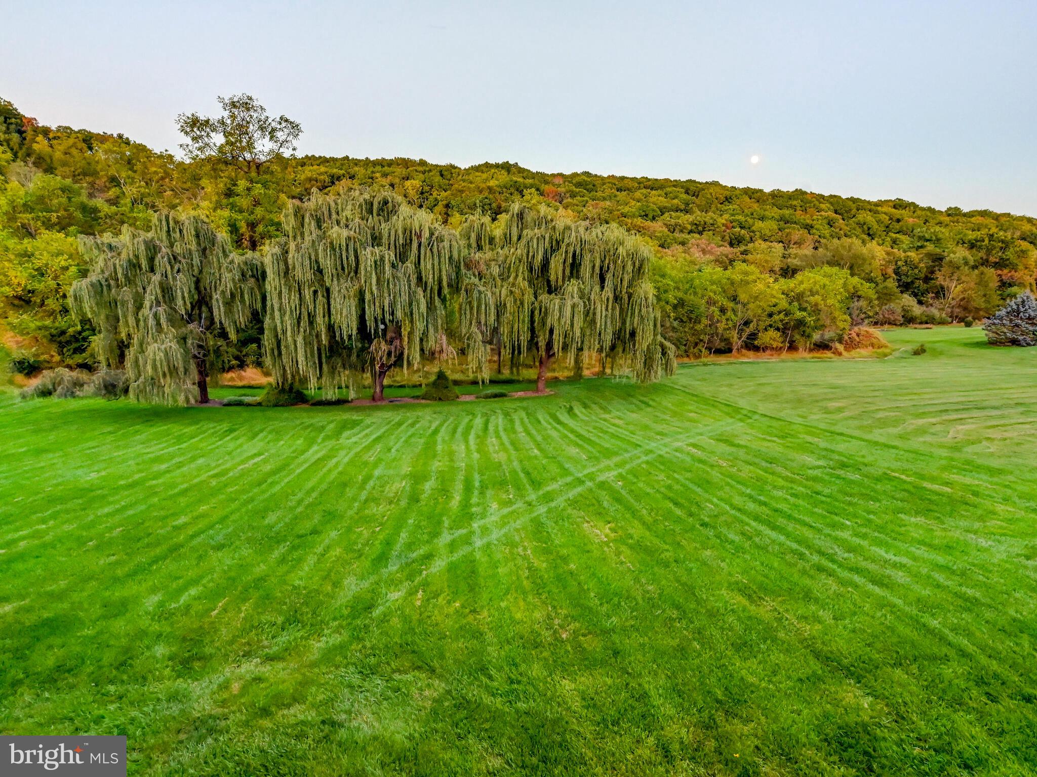 BENTLEY RIDGE - Residential