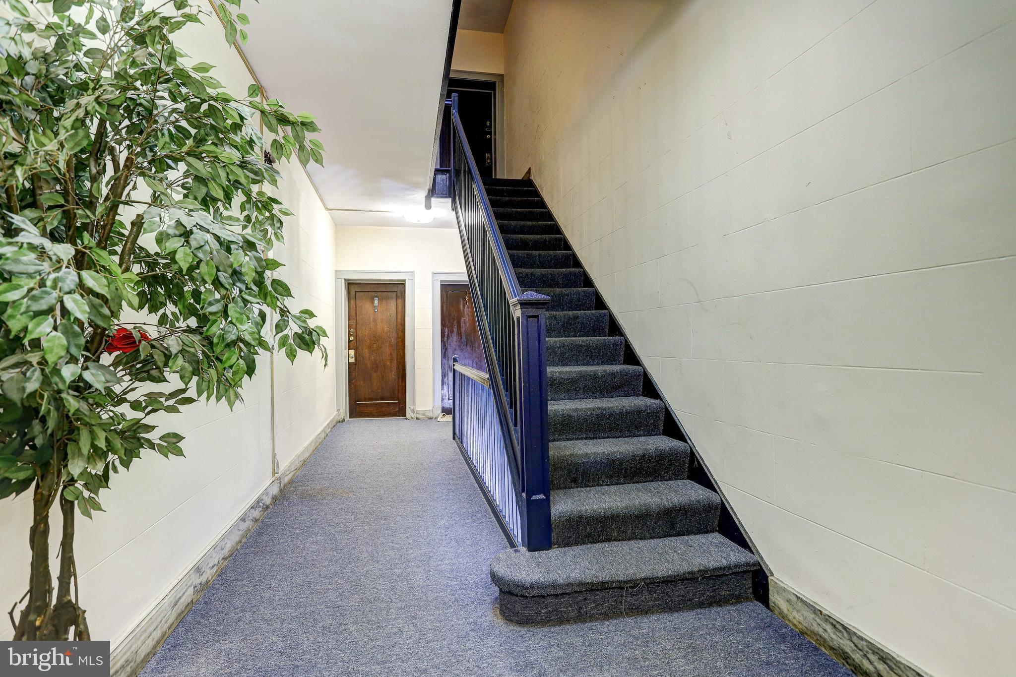 ROLAND PARK - Commercial Sale