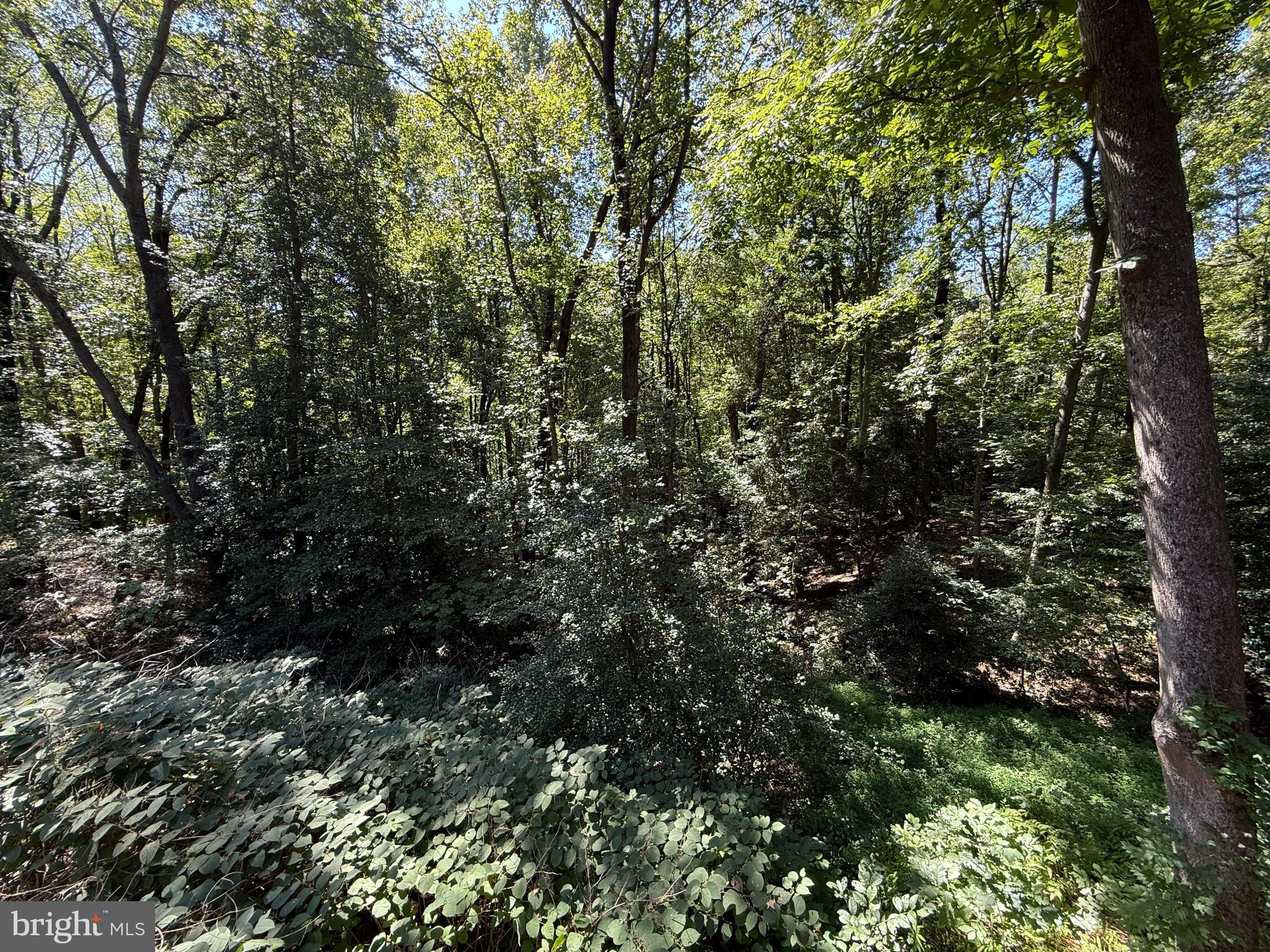 AQUIA HEIGHTS - Residential Lease