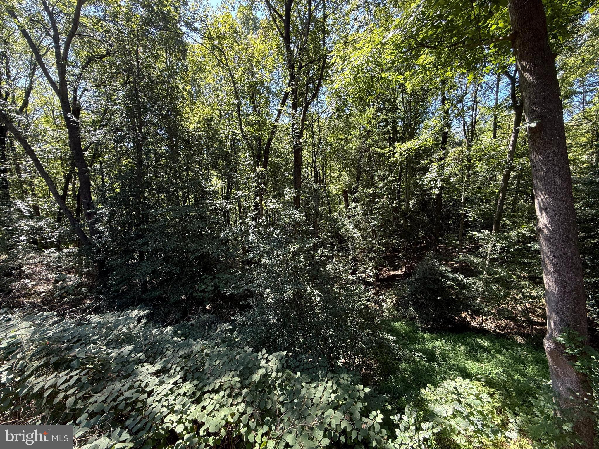 AQUIA HEIGHTS - Residential Lease