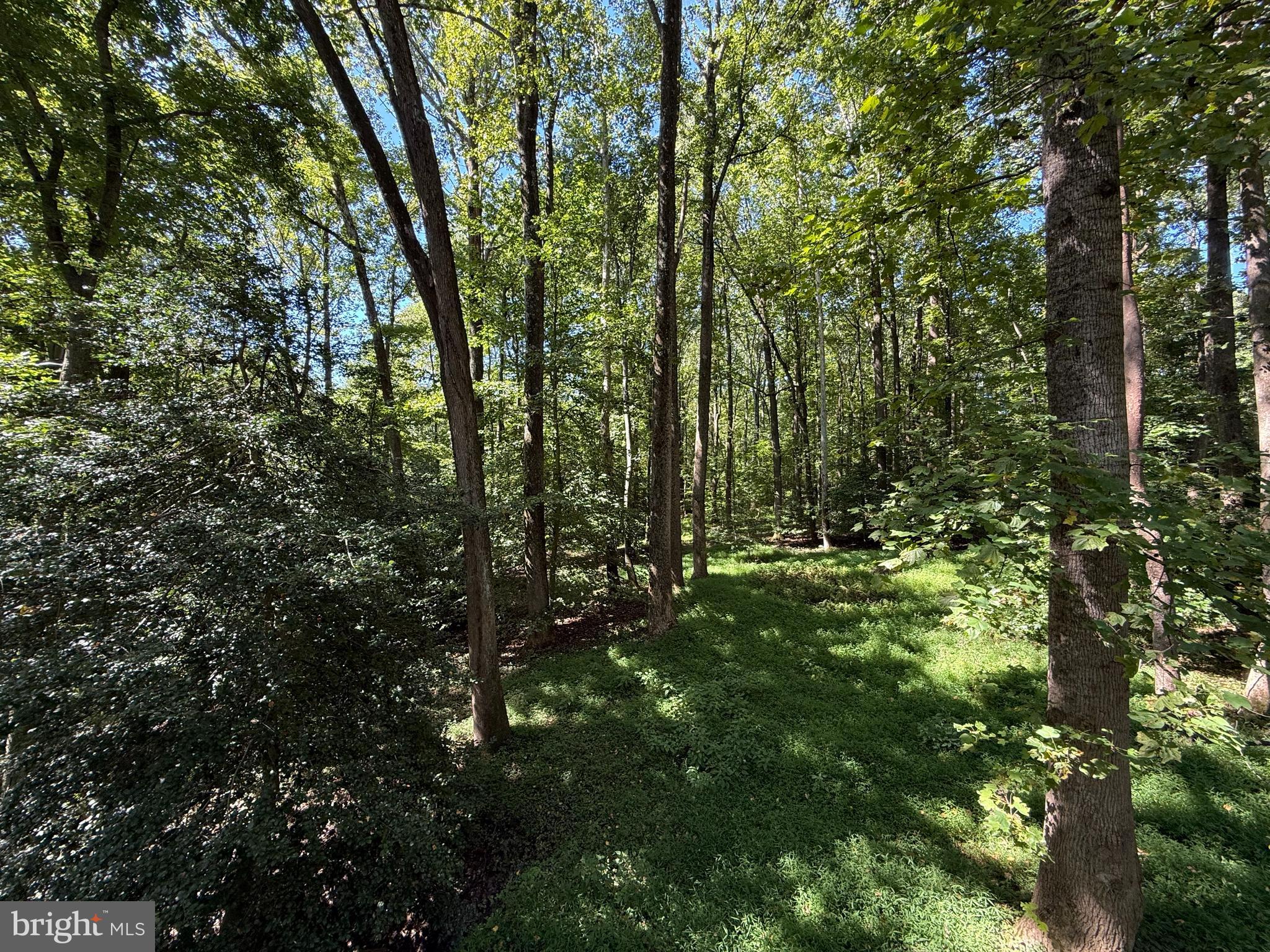 AQUIA HEIGHTS - Residential Lease