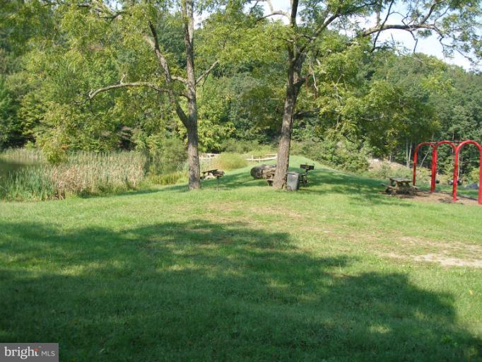 SHEN FARMS MT VIEW - Land
