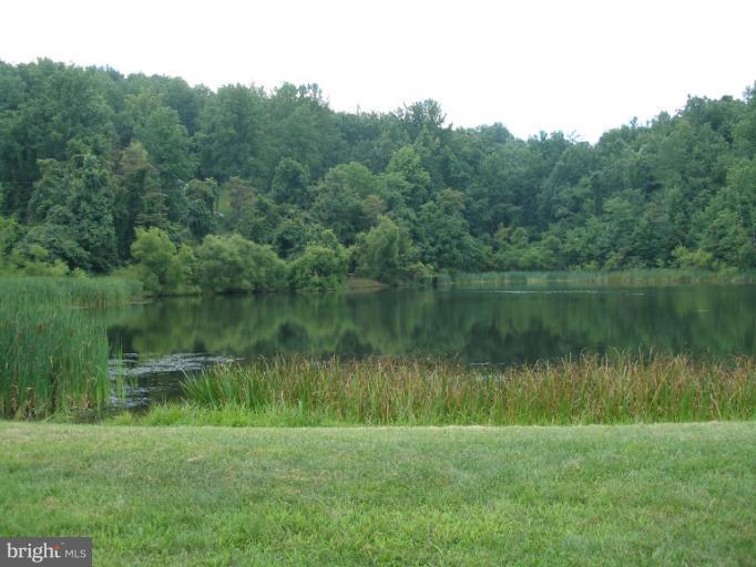 SHEN FARMS MT VIEW - Land