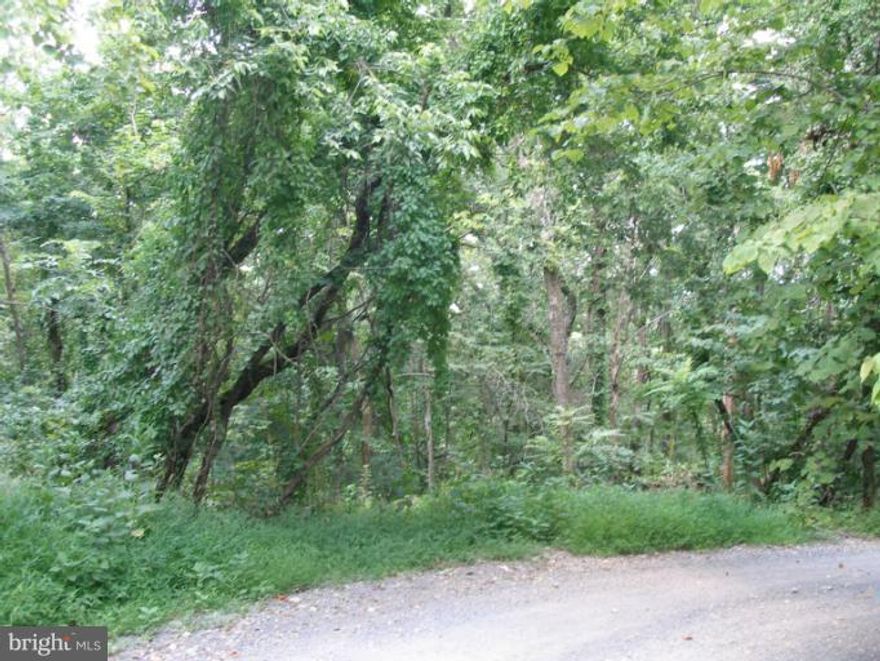 Wow, 1.8 acres for under $10,000. Great for building a year round dream home or vacation escape.  The community offers river access, two lakes, fishing, swimming, hiking, boating, abundant wildlife, and much, much more.  At this price, you could start building tomorrow.