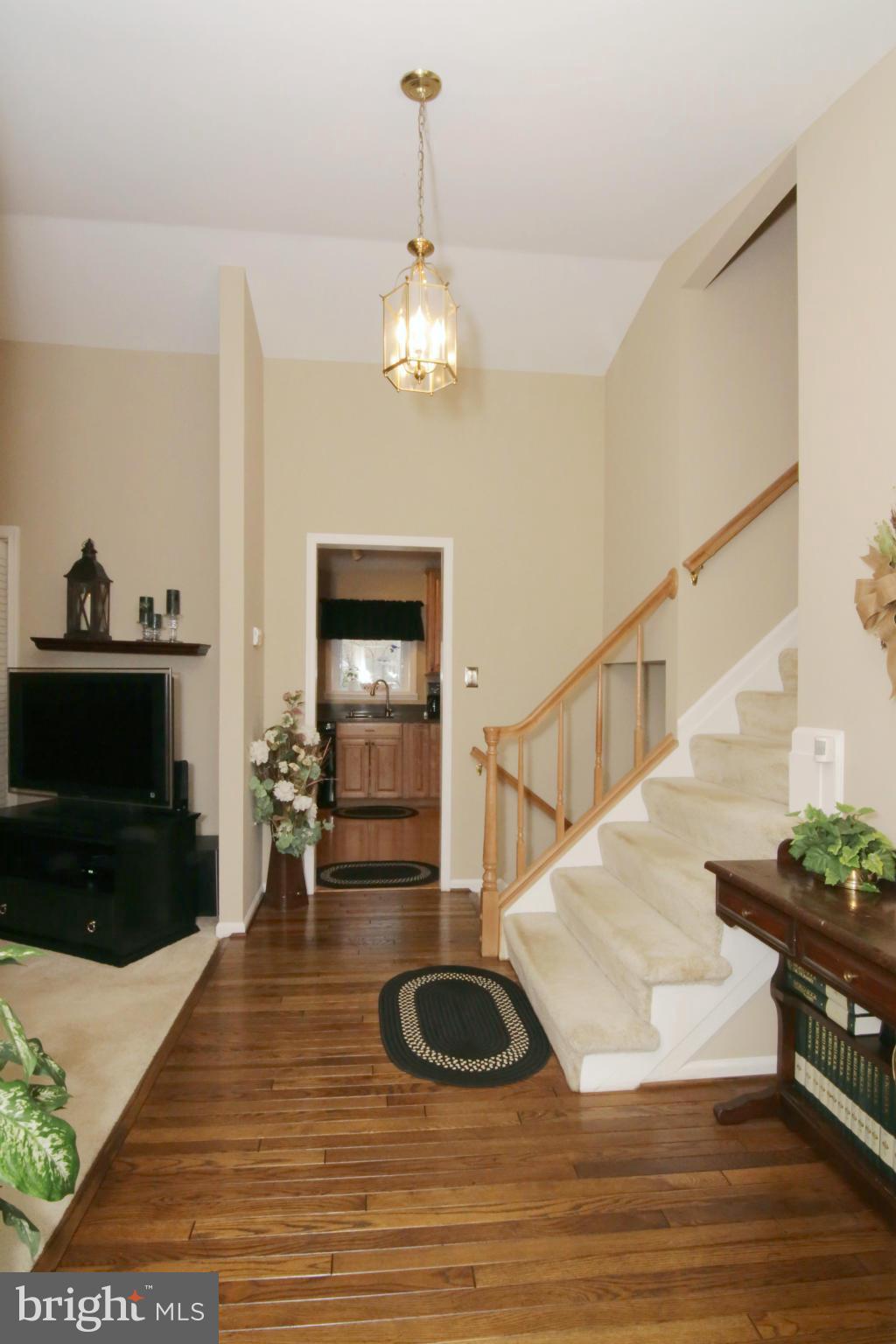 LAKE RIDGE/PROMONTRY OAK - Residential